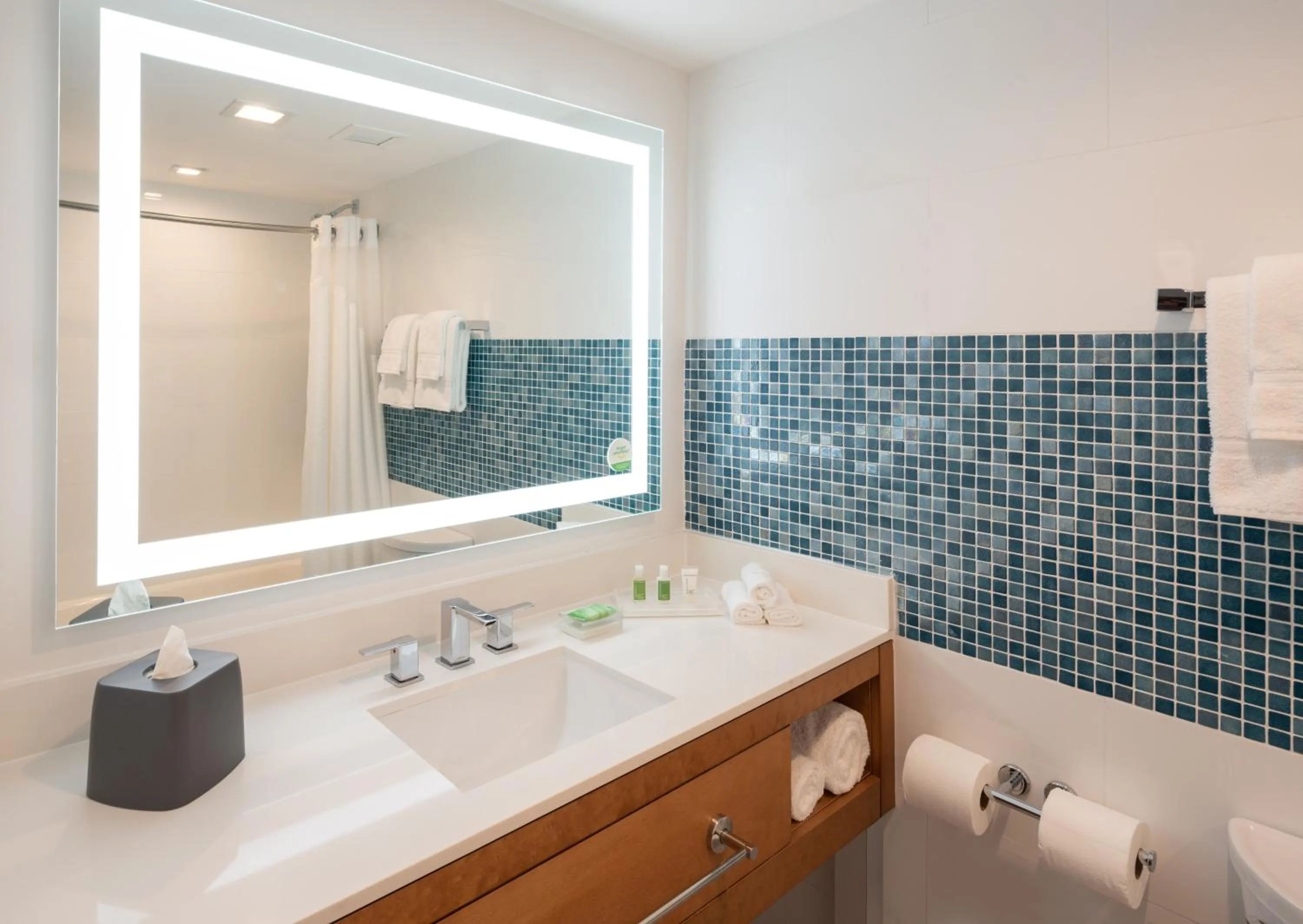 Bath in DoubleTree by Hilton Miami North I-95