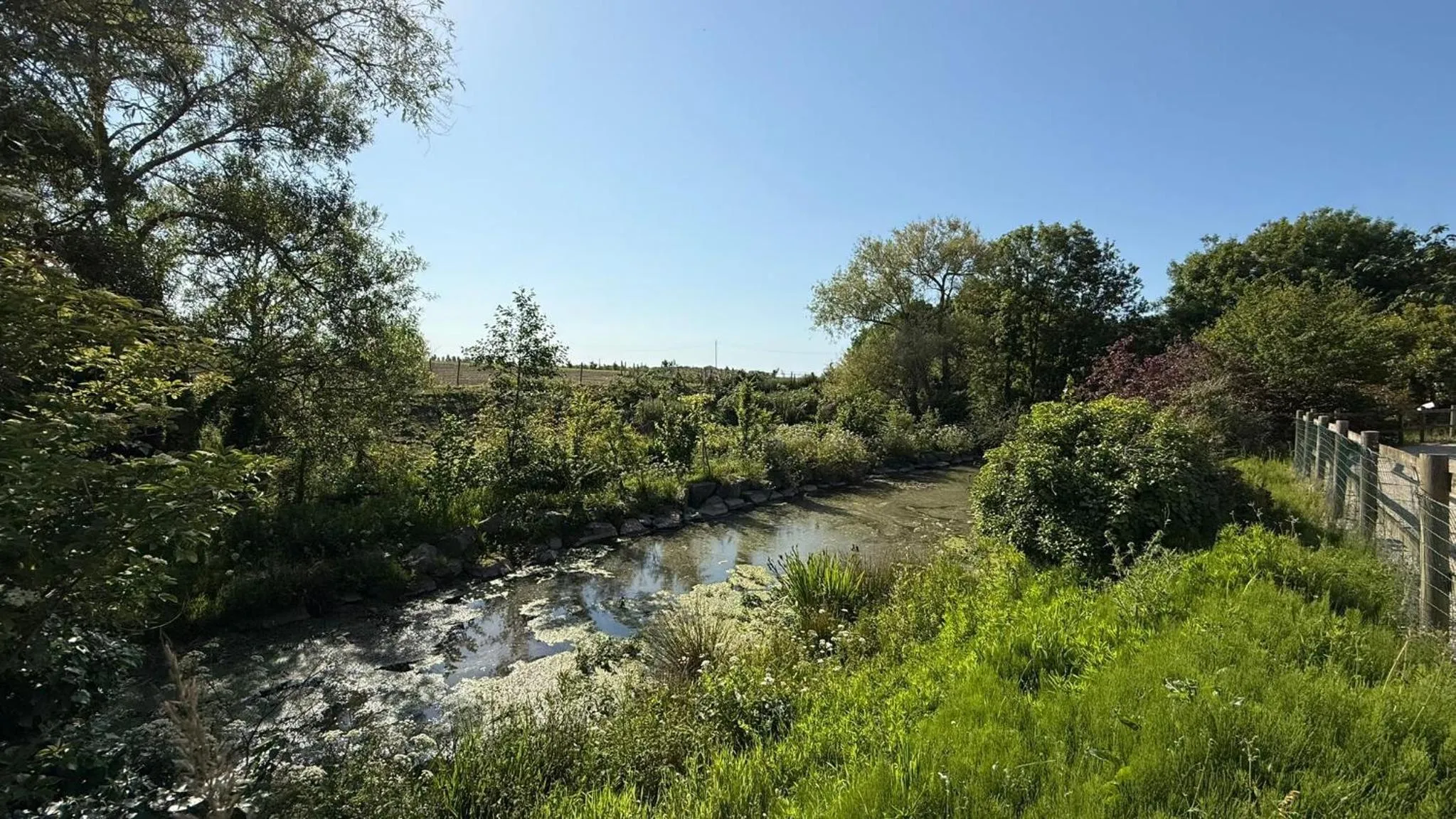 Lake view in Manoir Des Douets Fleuris