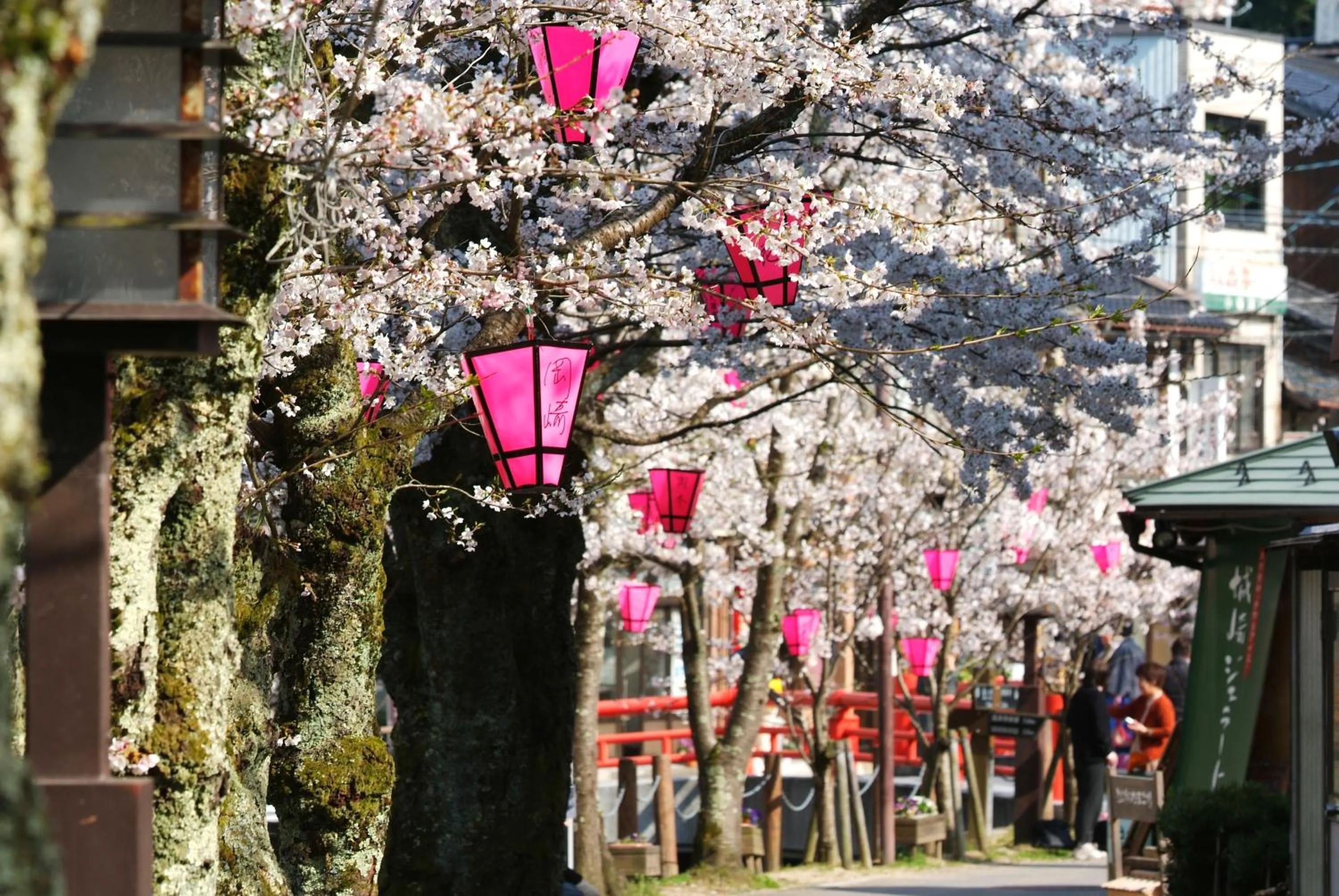 Natural landscape in Ichidaya