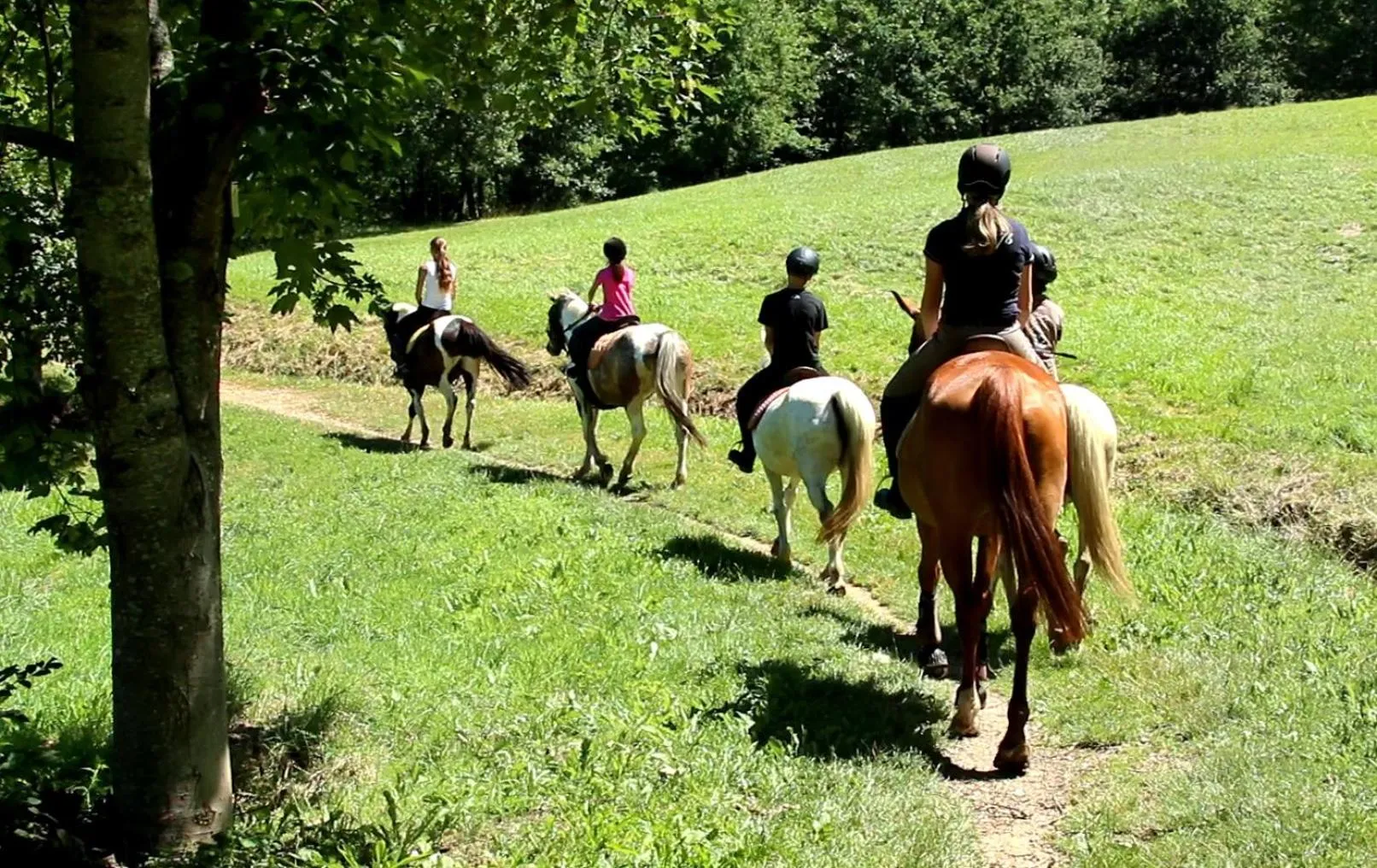 Horse-riding in Camping du Lac
