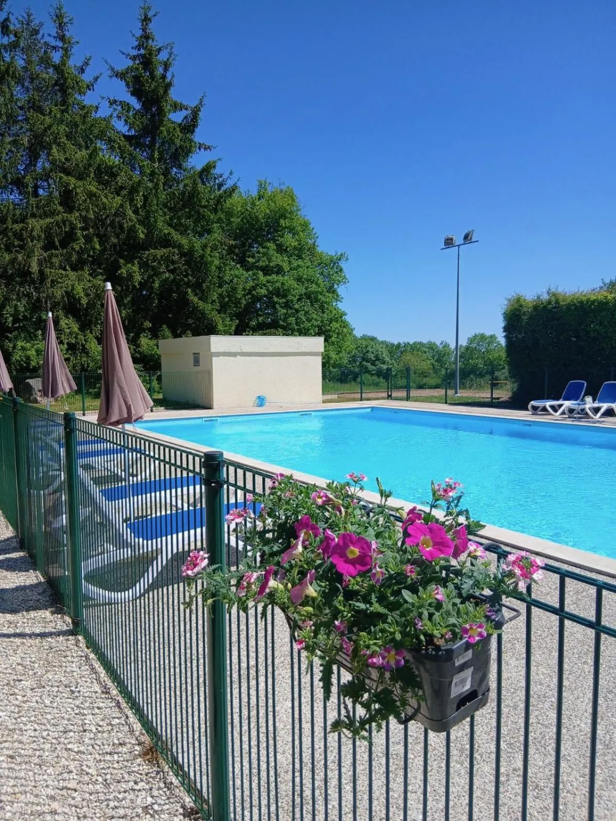 Swimming pool in Camping de Saulieu