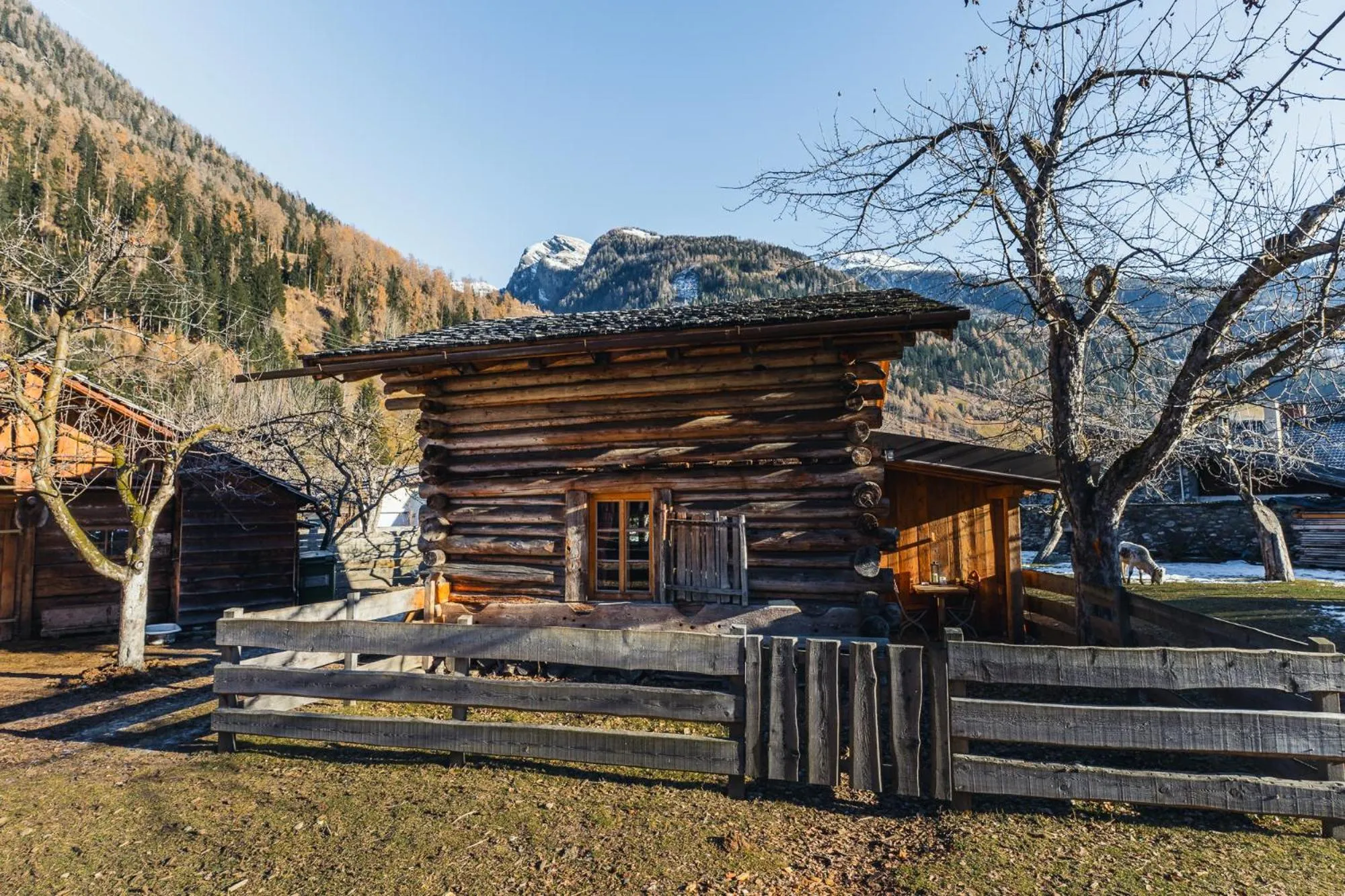 Property building in Hotel Schlosswirt