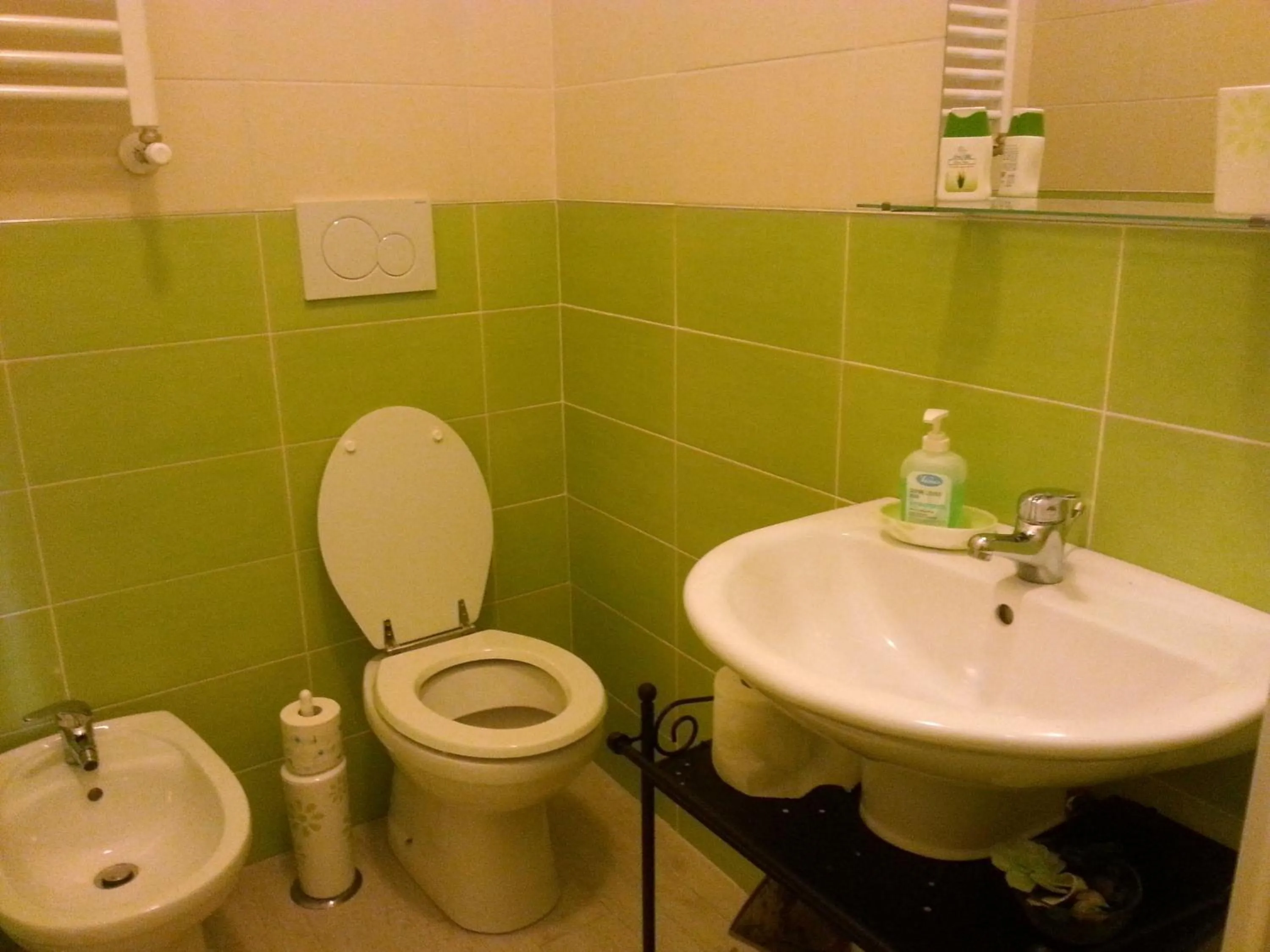 Bathroom in Home 103