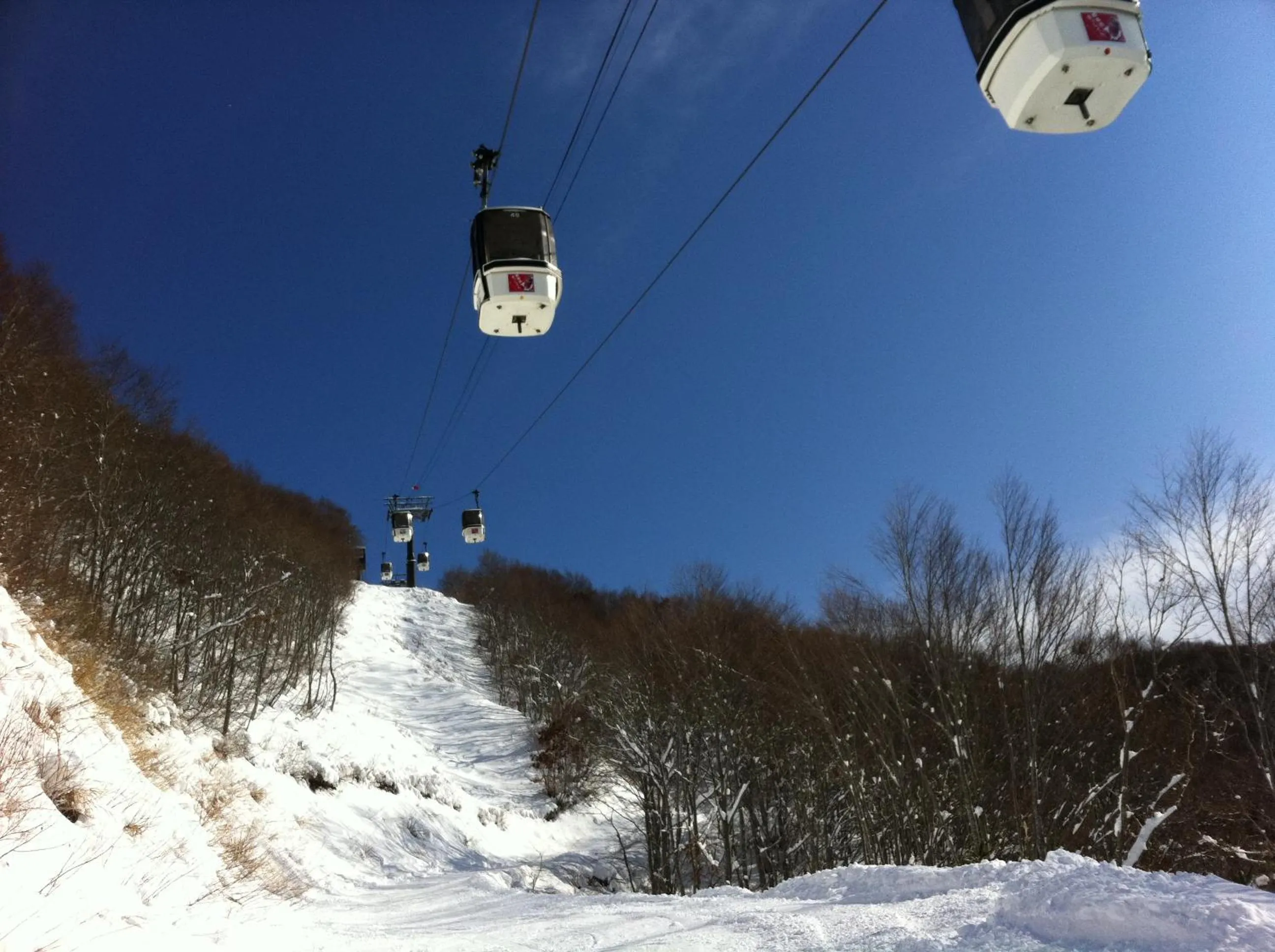 Natural landscape in Elizabeth