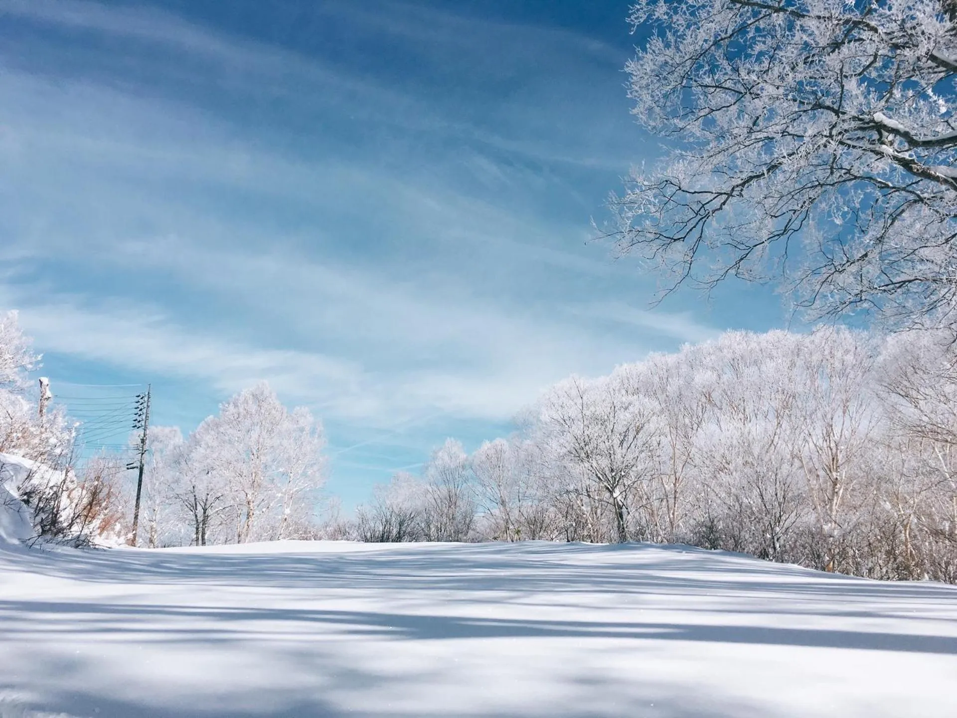 Nearby landmark in Elizabeth