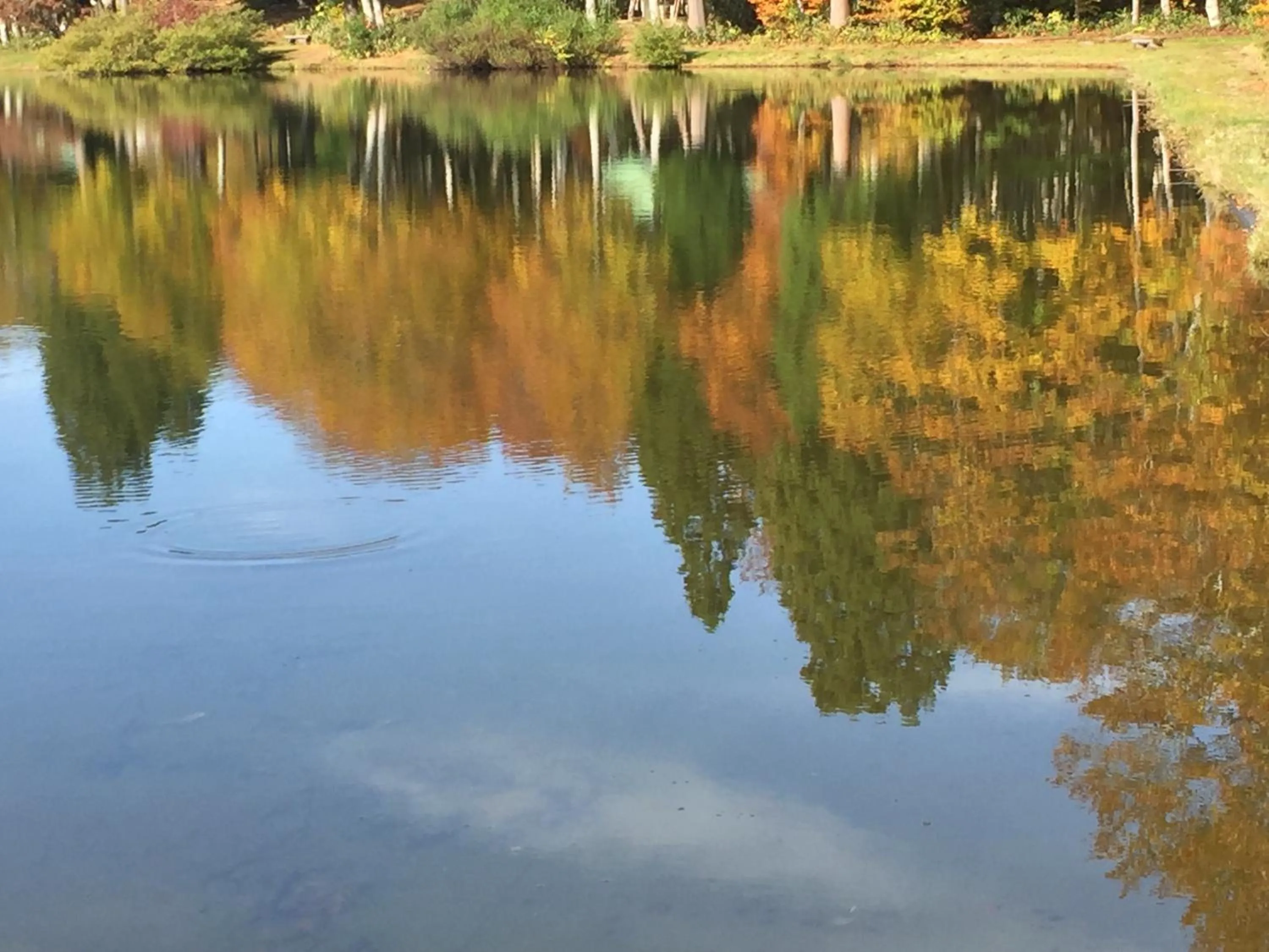 Nearby landmark in Elizabeth