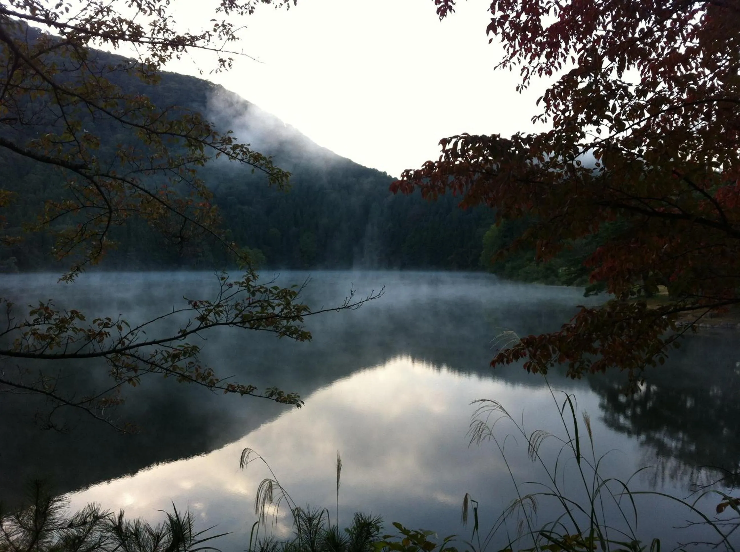 Natural landscape in Elizabeth