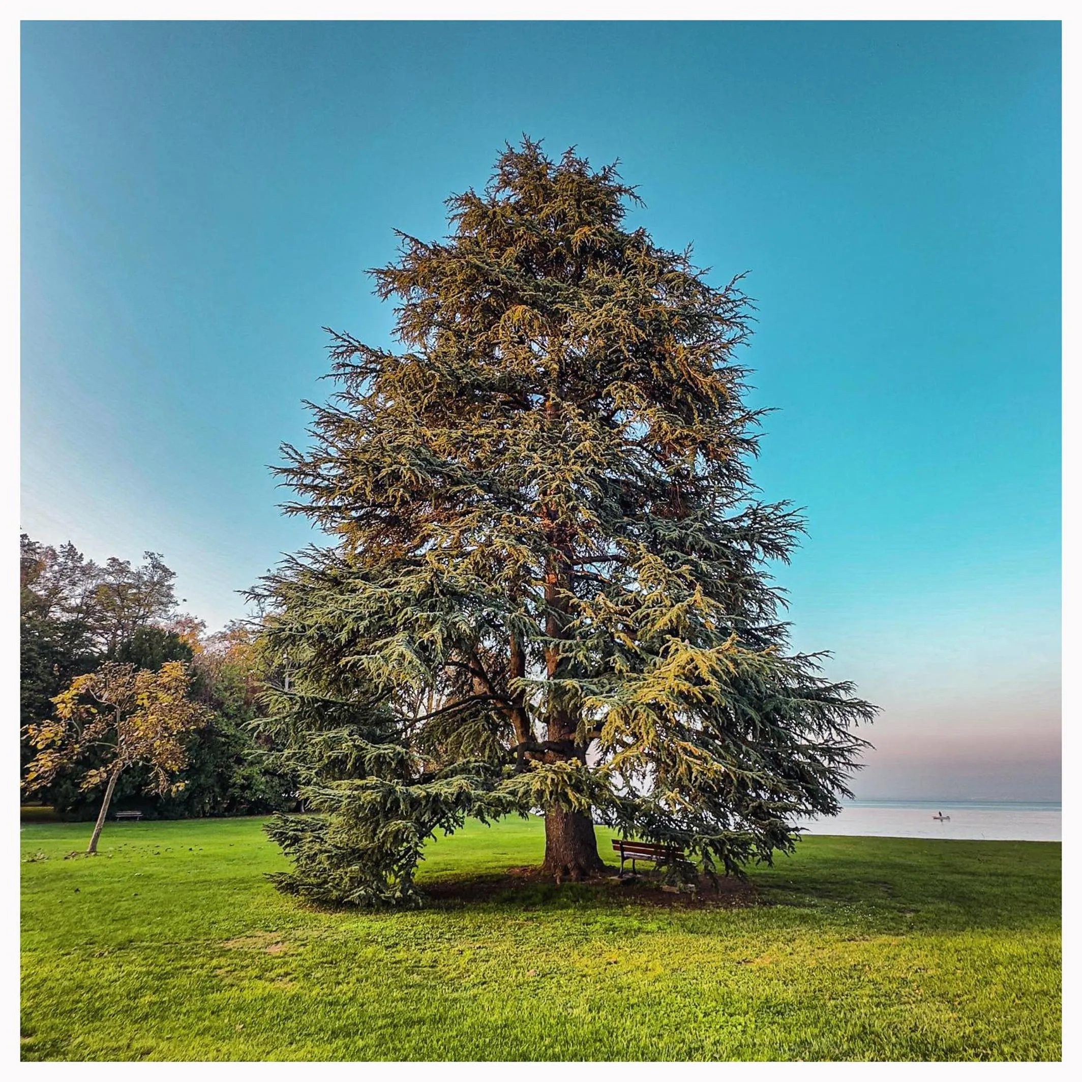 Natural landscape in Hôtel De La Plage