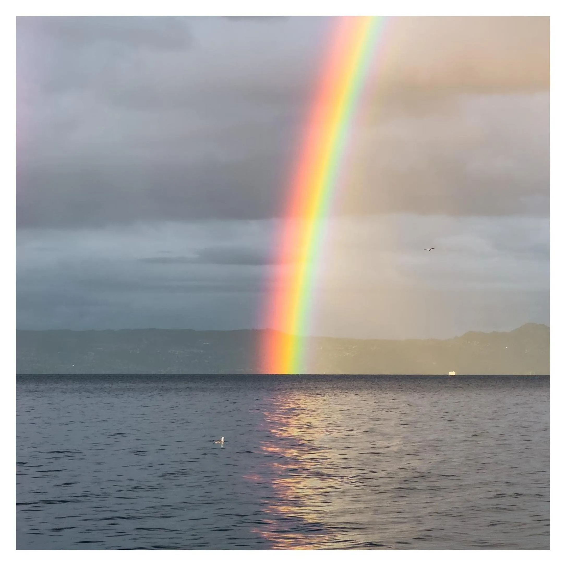 Natural landscape in Hôtel De La Plage