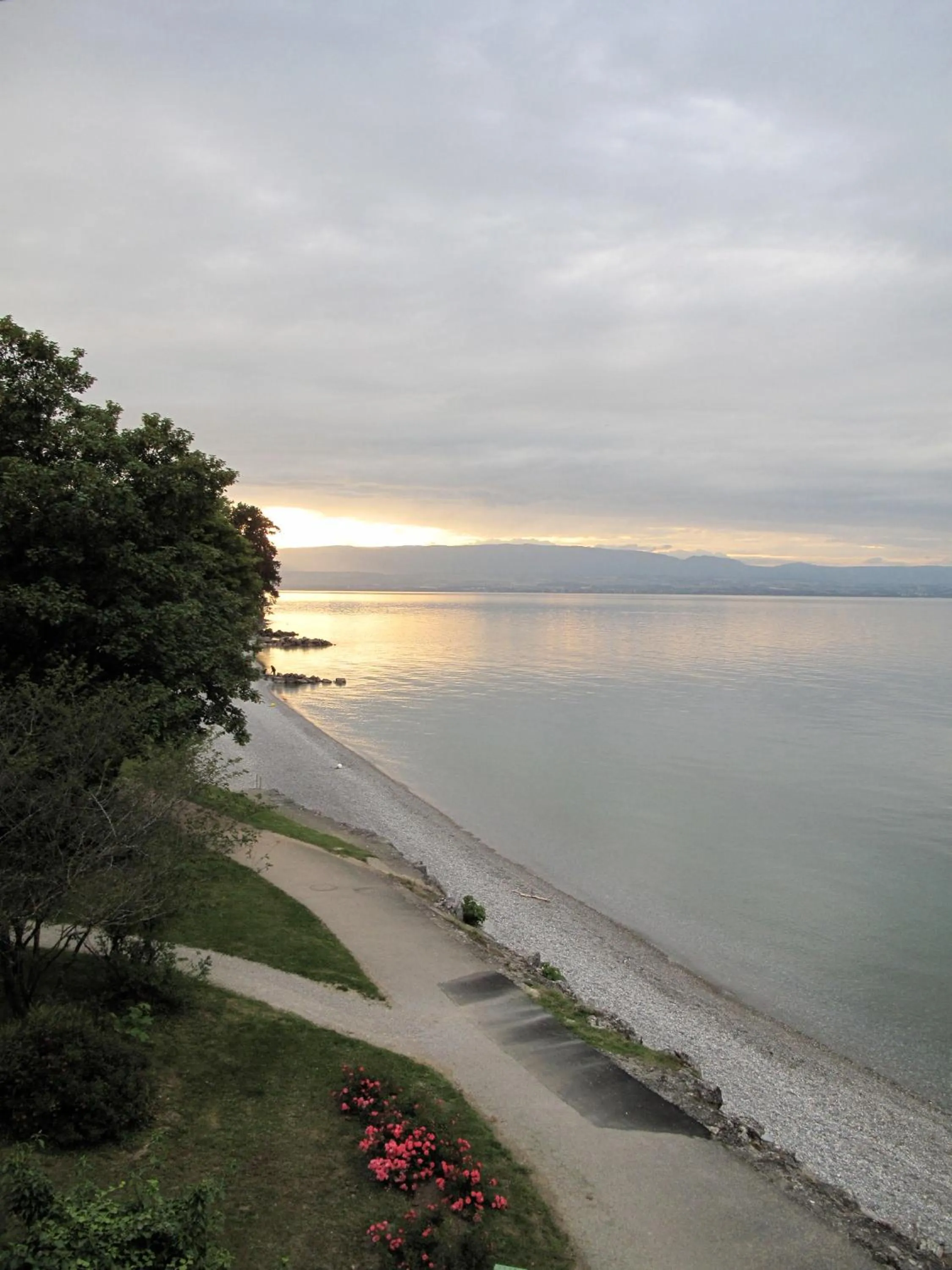 Beach in Hôtel De La Plage