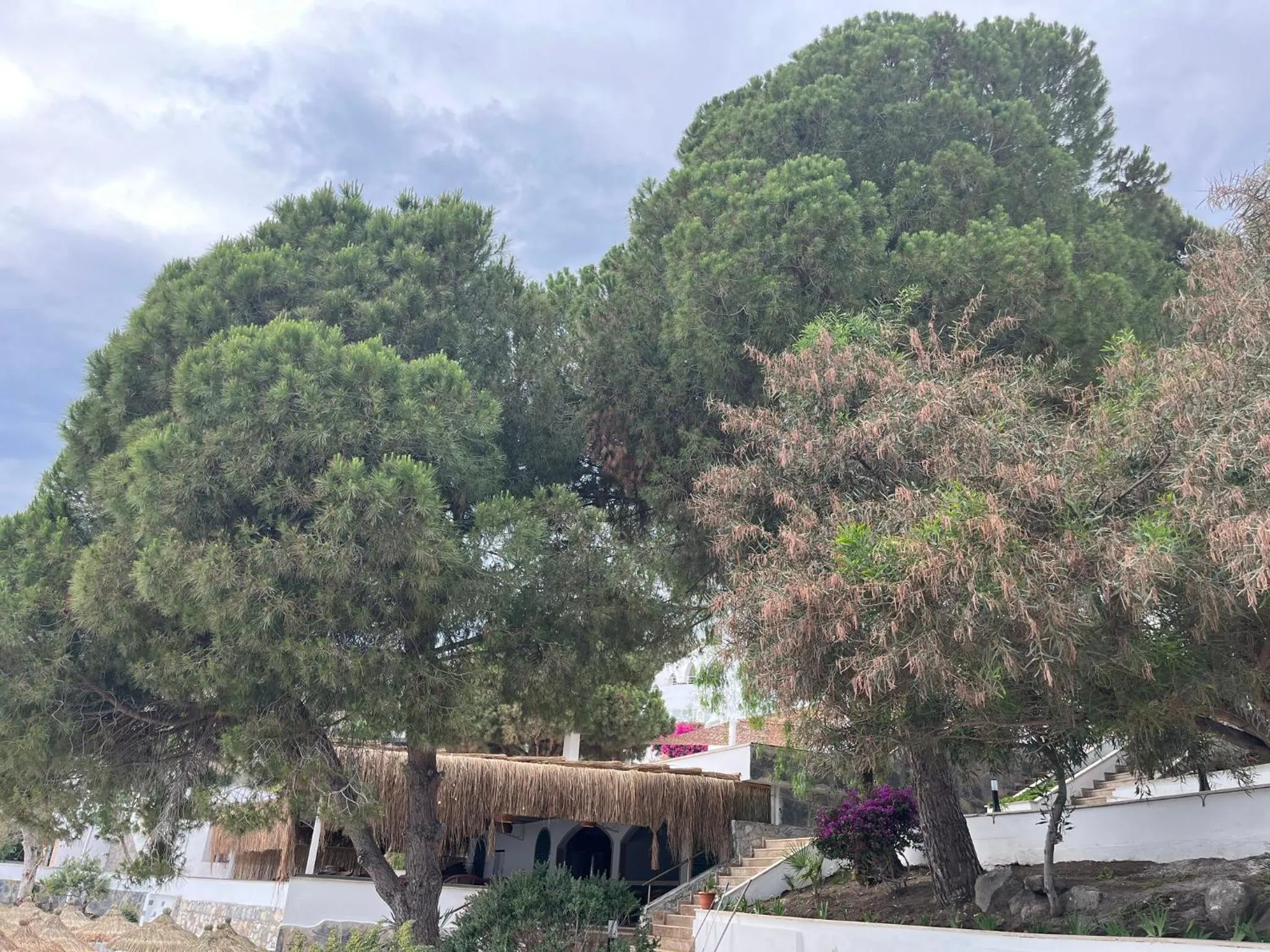 Other in Holiday Inn Resort Bodrum by IHG