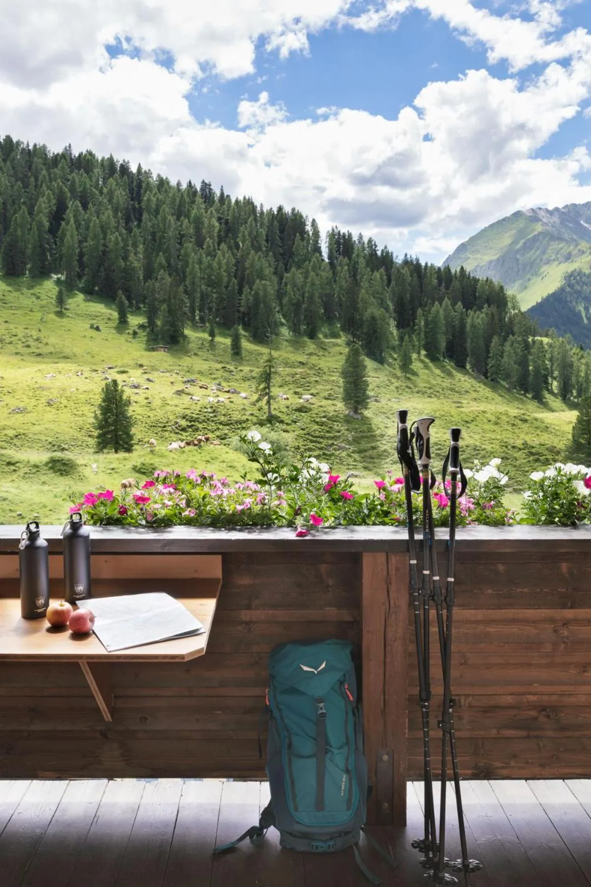 Balcony/Terrace in Berggasthaus Höllensteinhütte