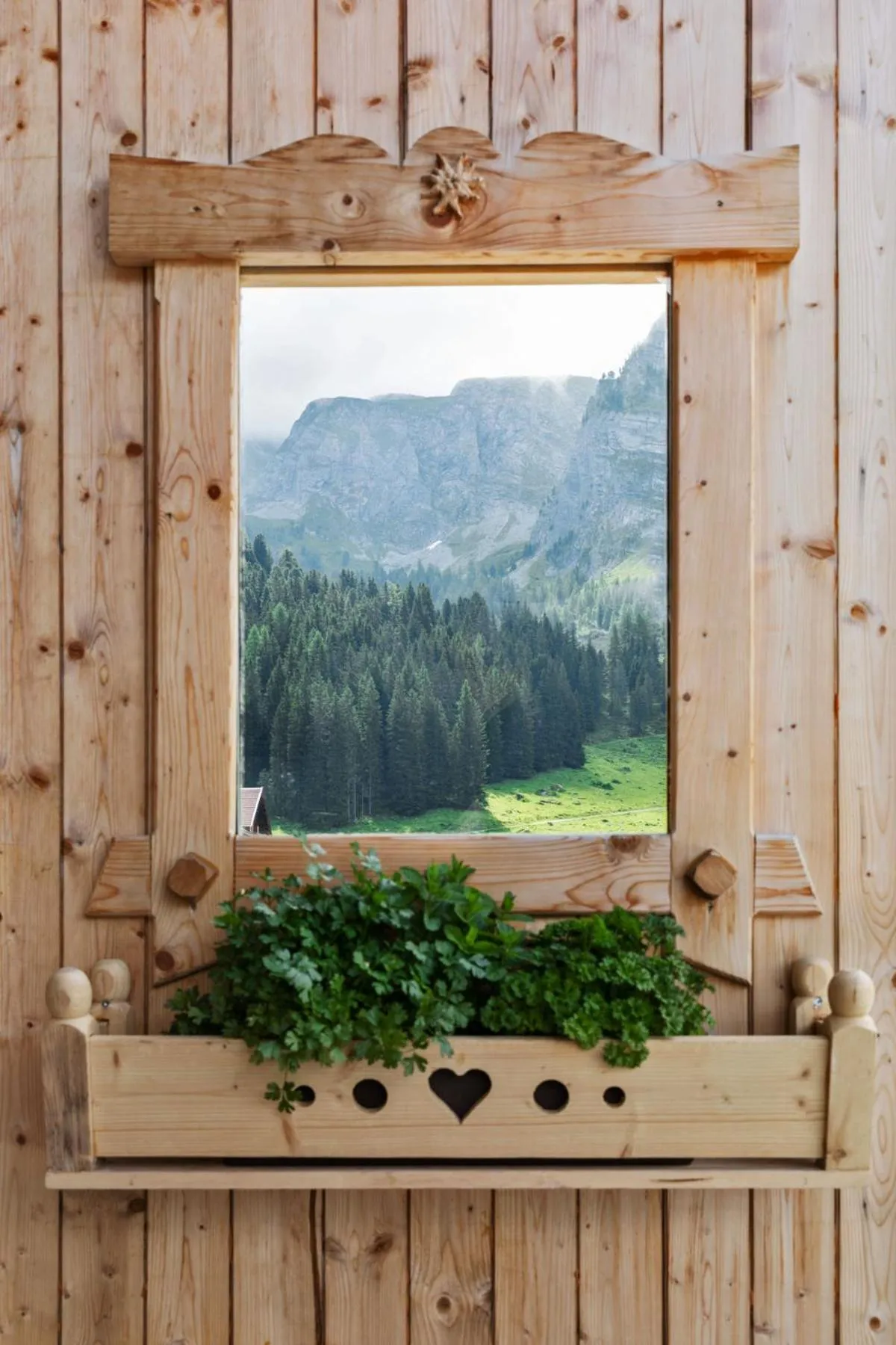 Mountain view in Berggasthaus Höllensteinhütte