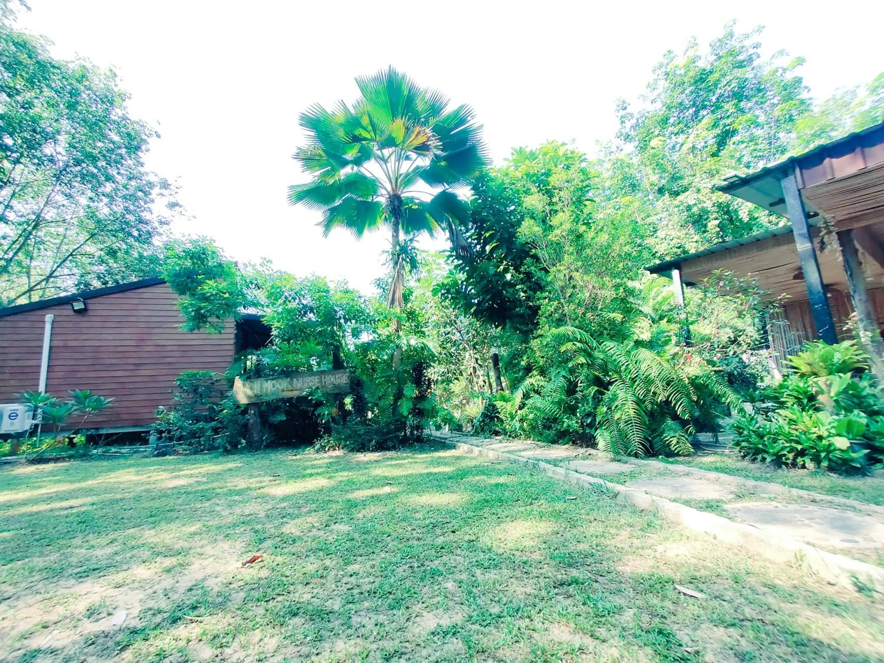 Garden in Kohmook Nurse House