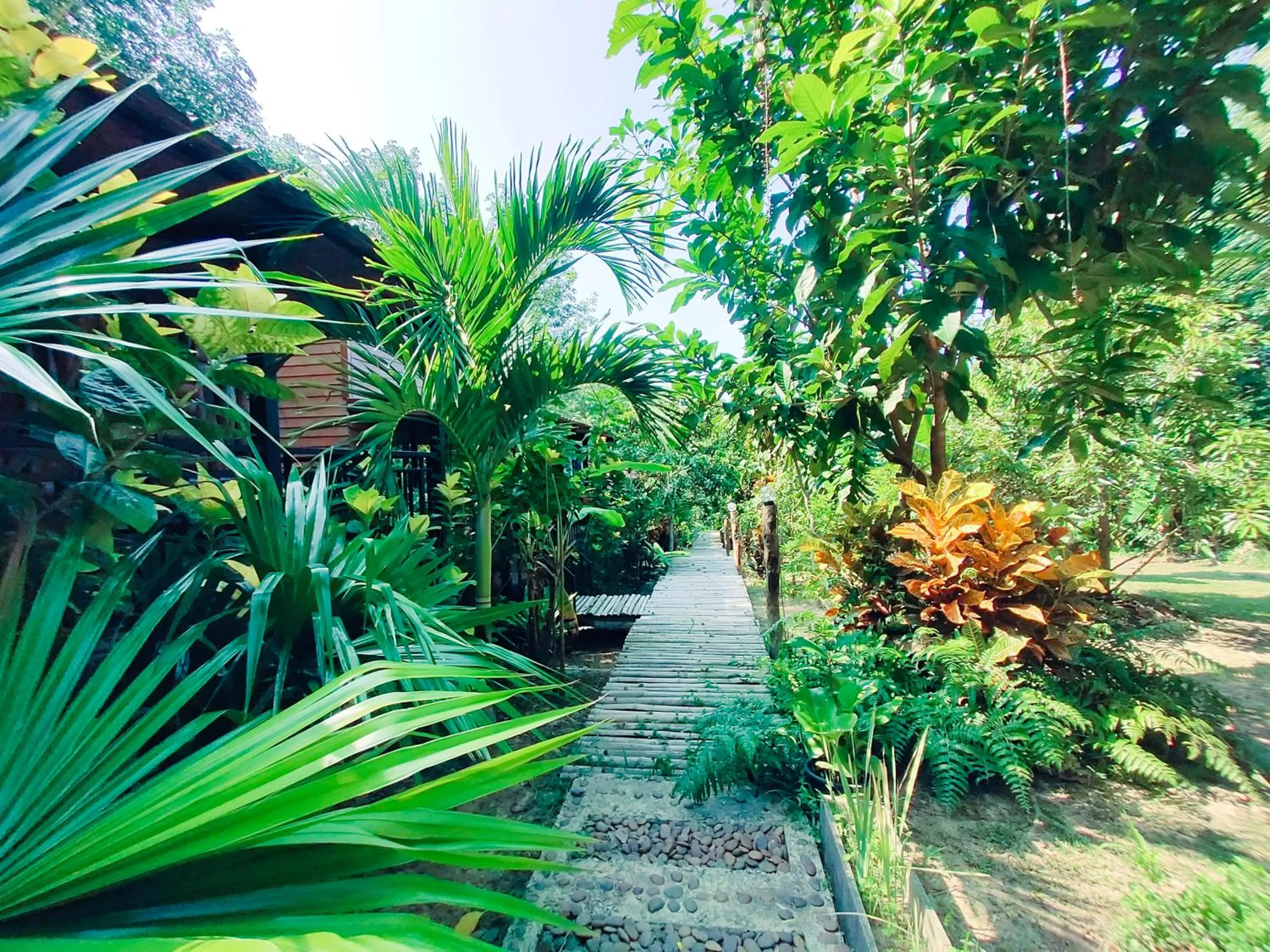Natural landscape in Kohmook Nurse House