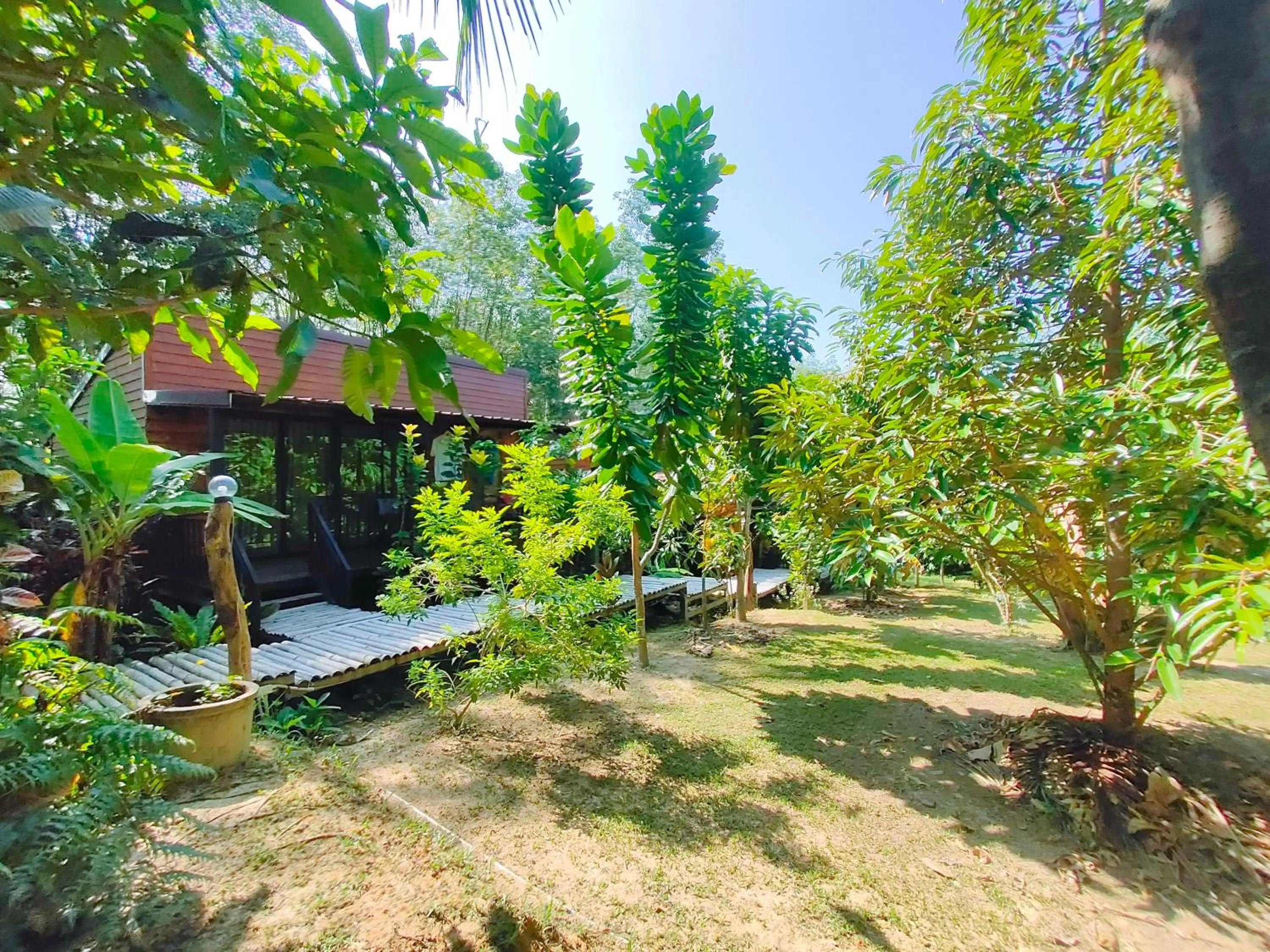 Garden view in Kohmook Nurse House