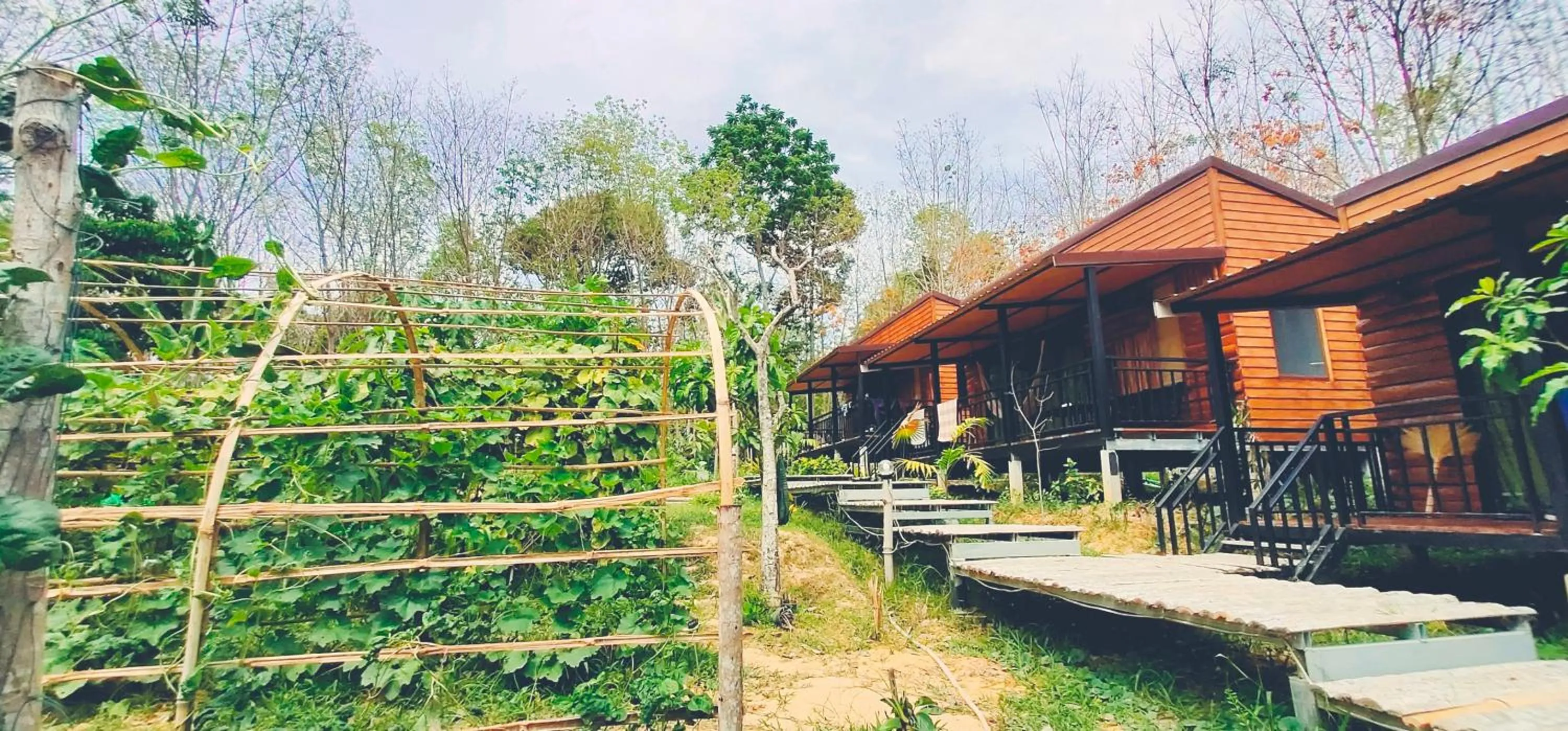 Garden view in Kohmook Nurse House