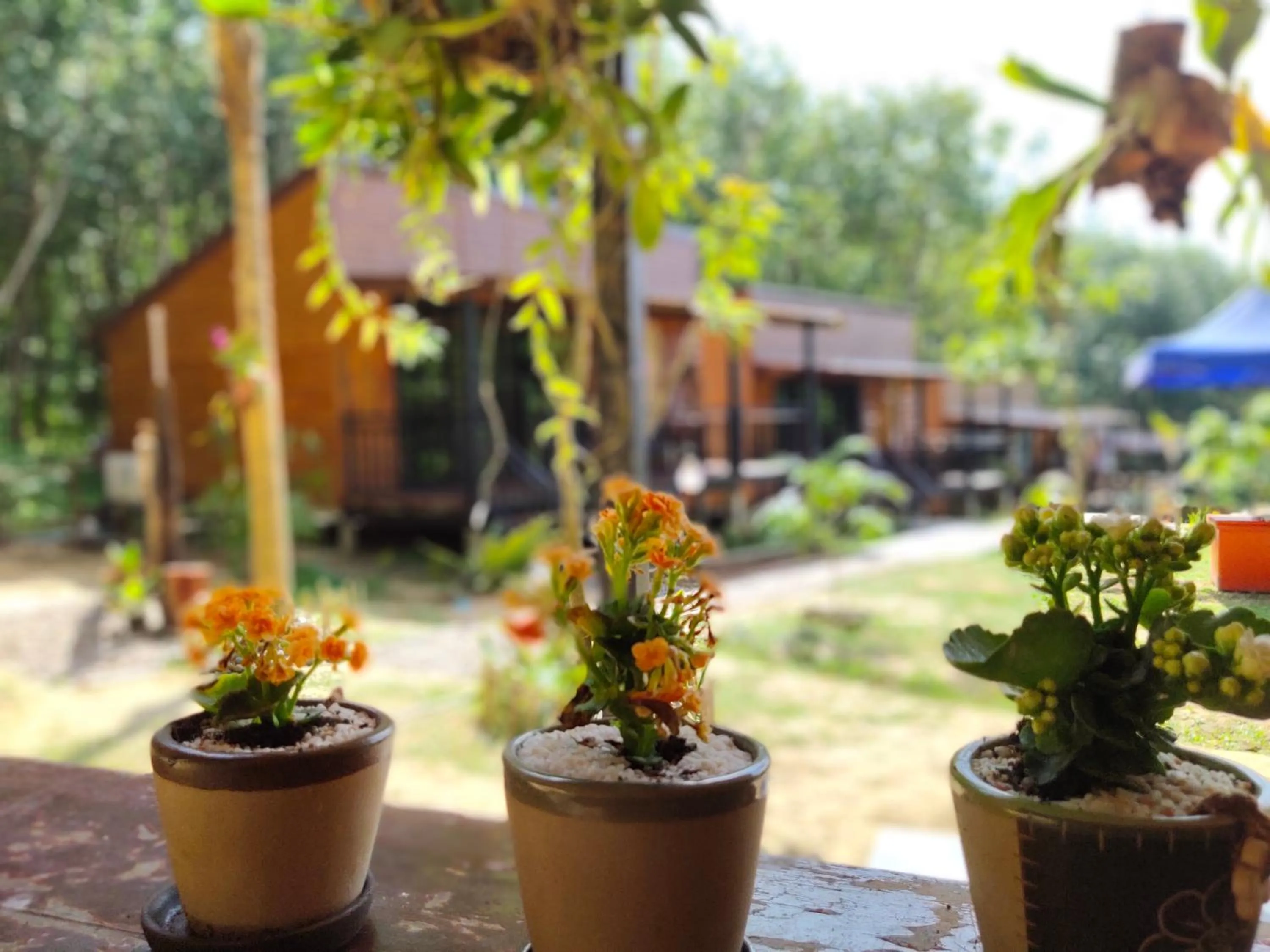Property building in Kohmook Nurse House