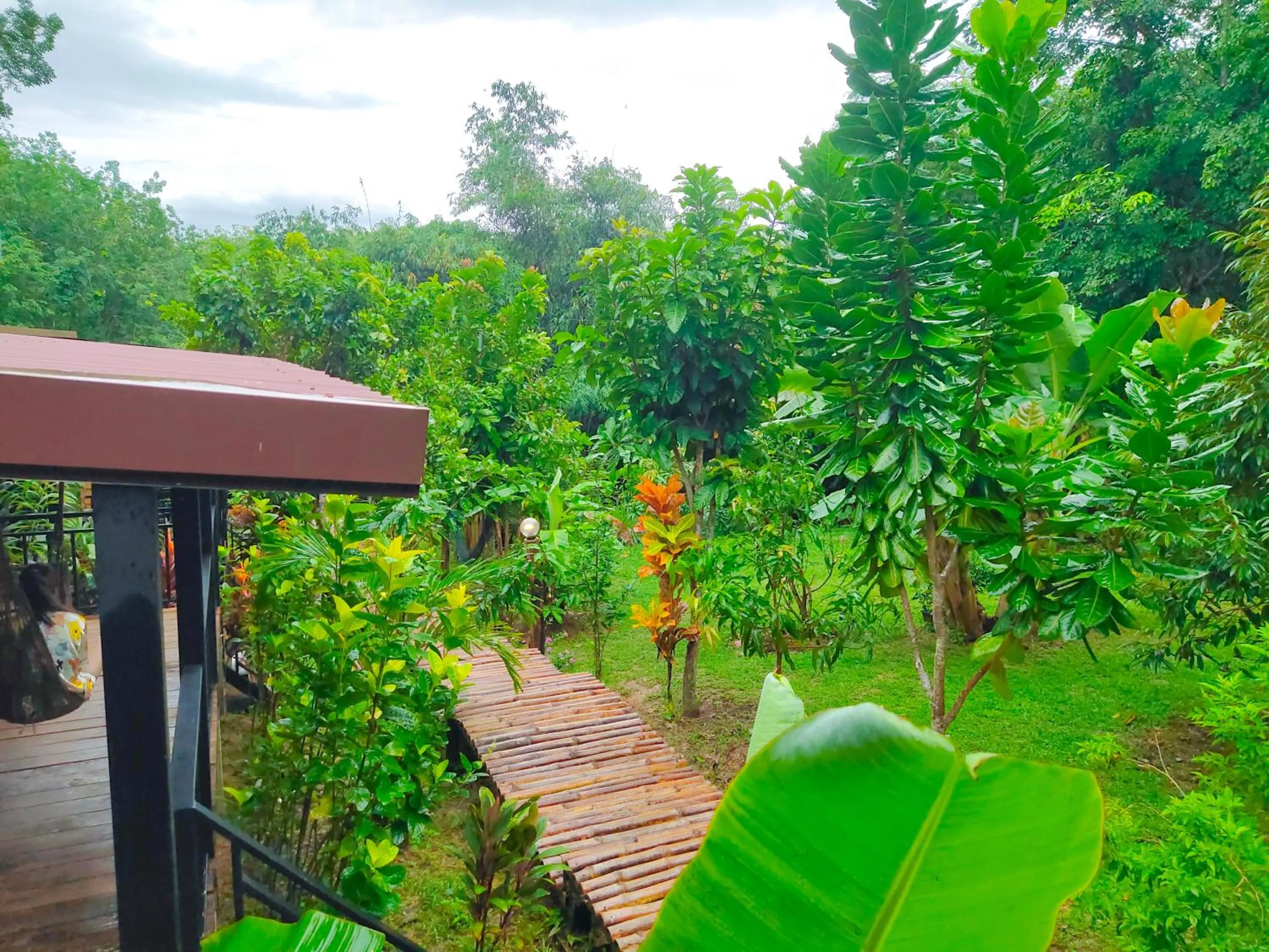 Natural landscape in Kohmook Nurse House