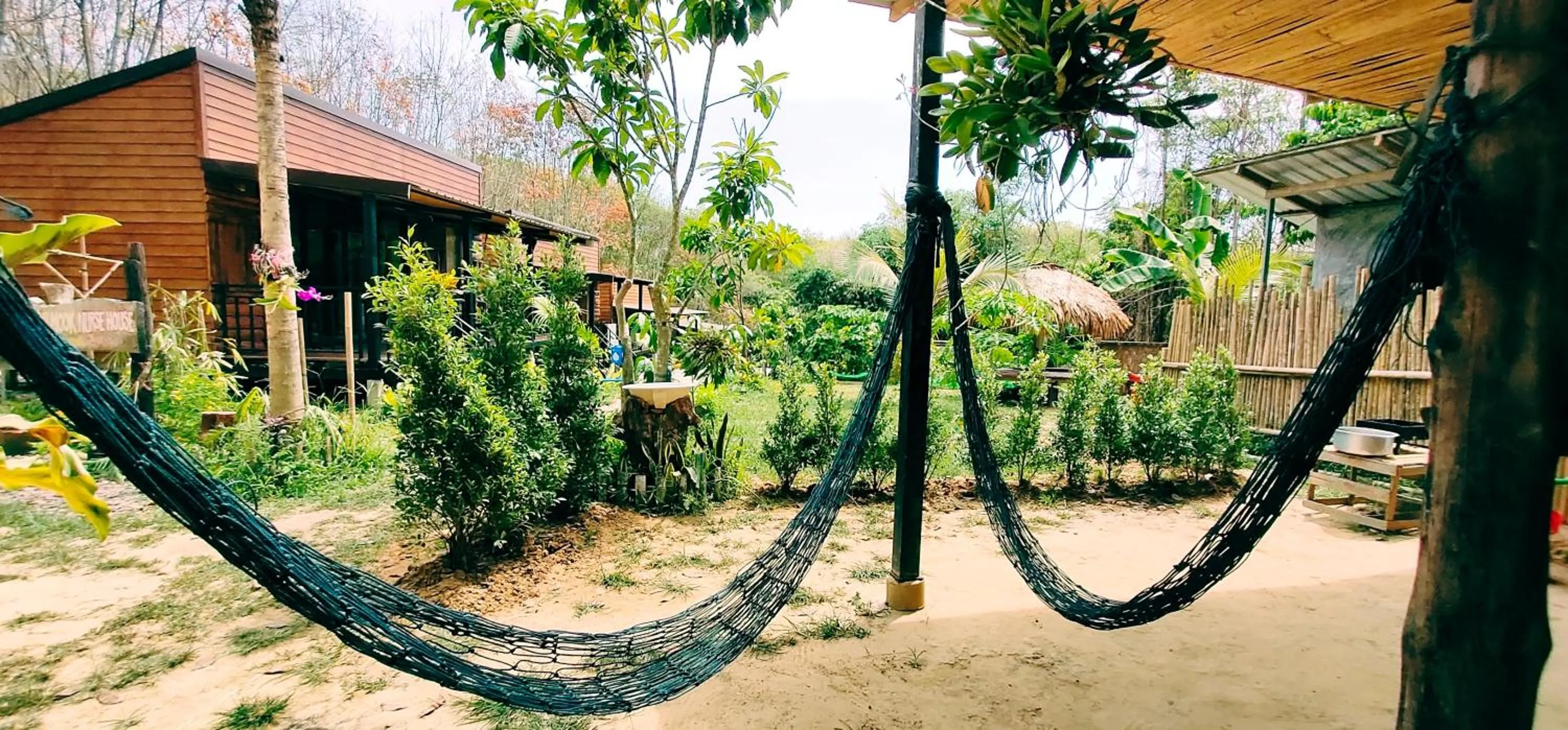 Garden in Kohmook Nurse House