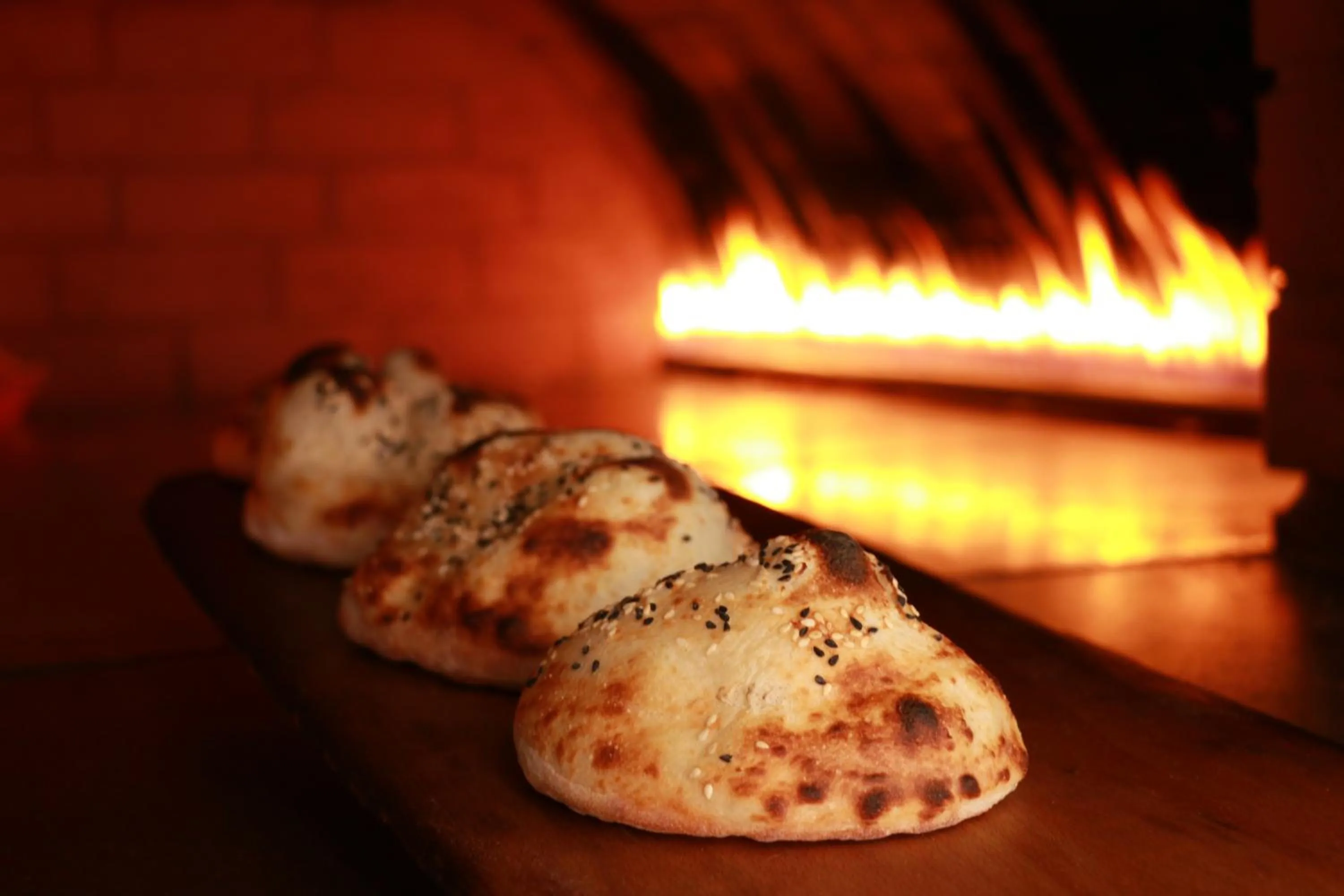 Coral Tower Hotel by Hansa