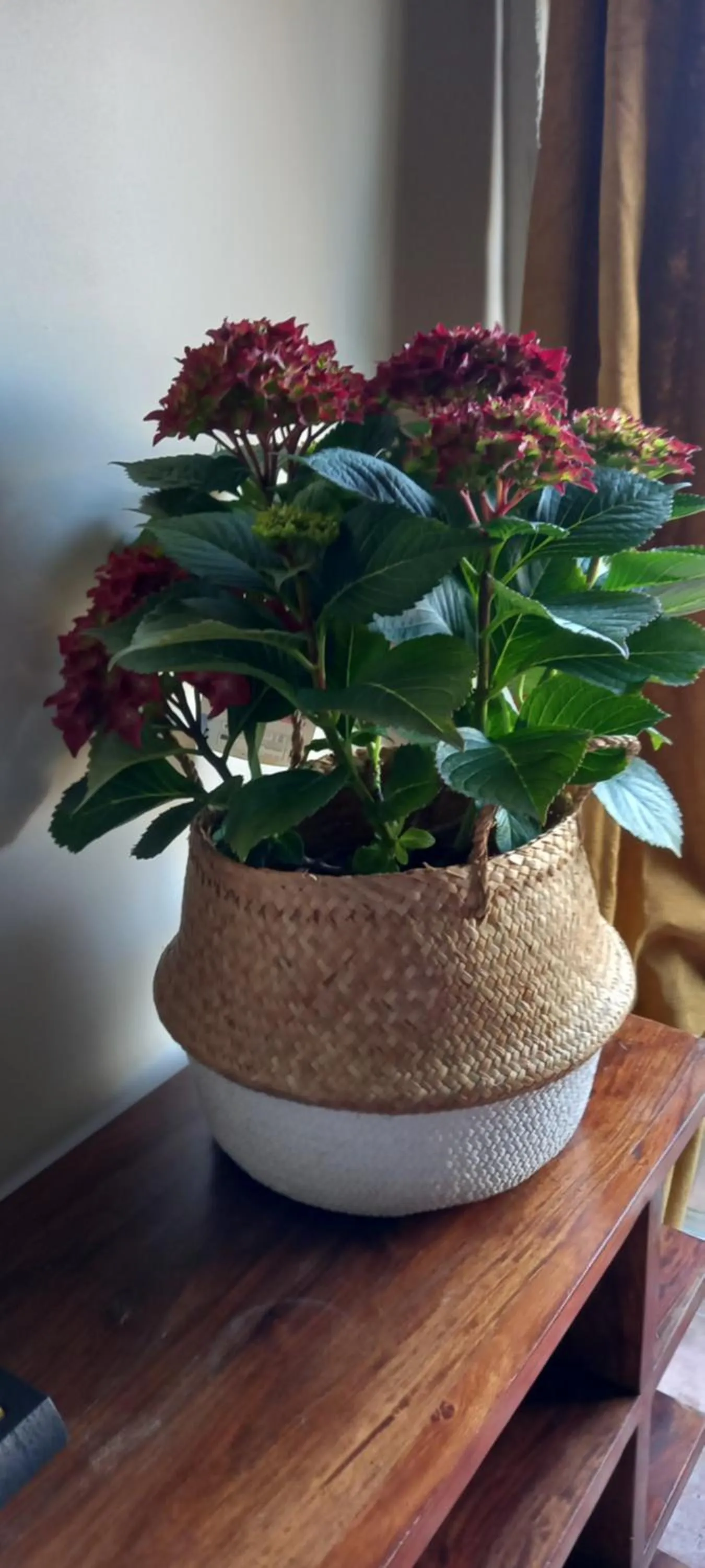 Bedroom in Hôtel de Mirmande