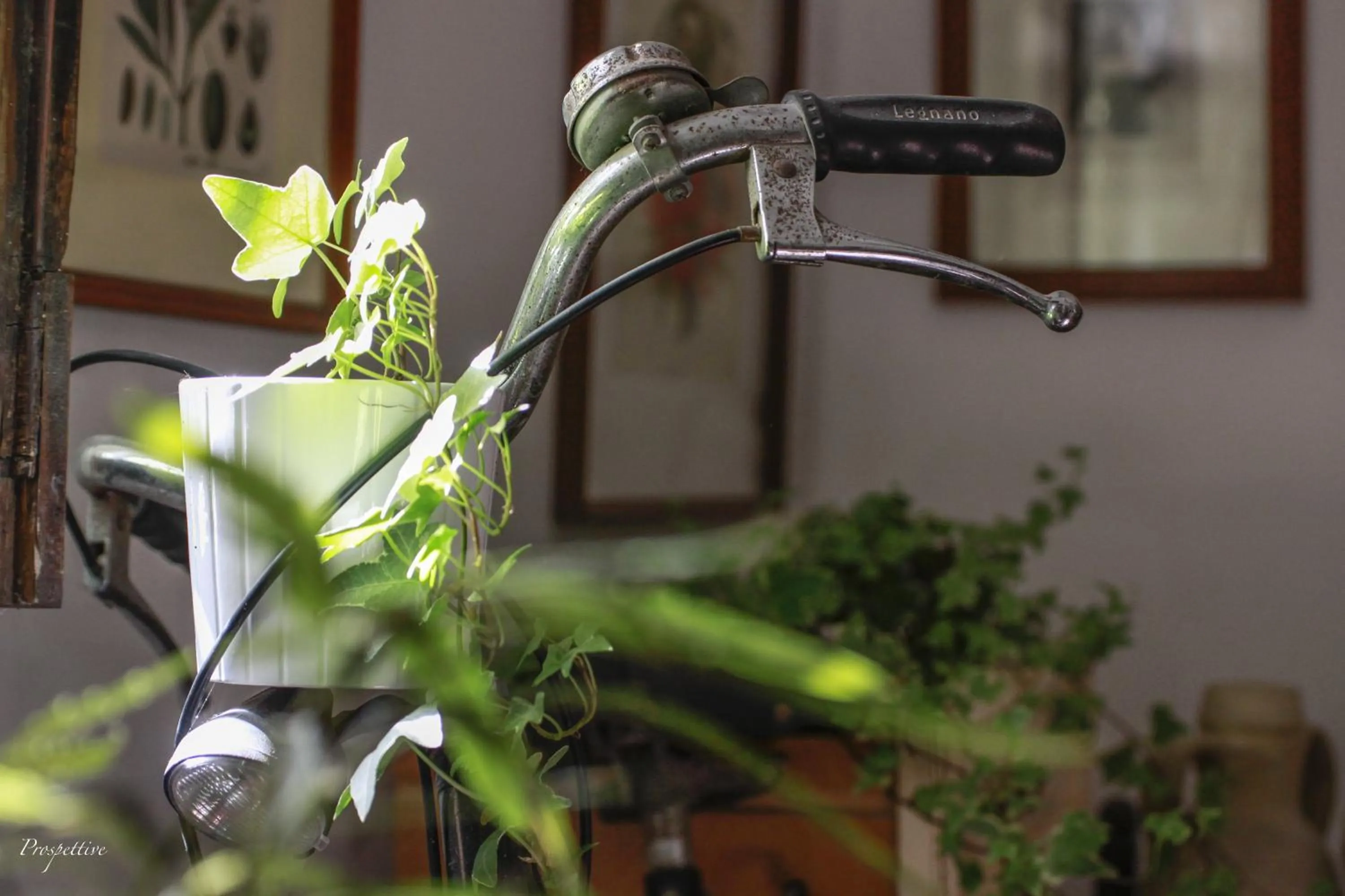 Decorative detail in Il Salotto di Maria Pia