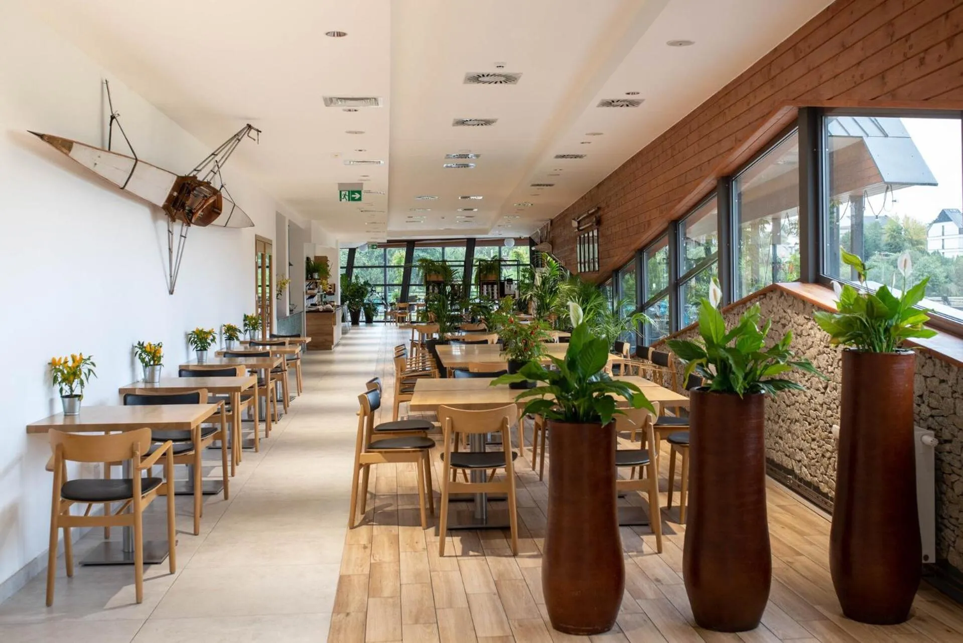 Restaurant/places to eat in Hotel Termalny