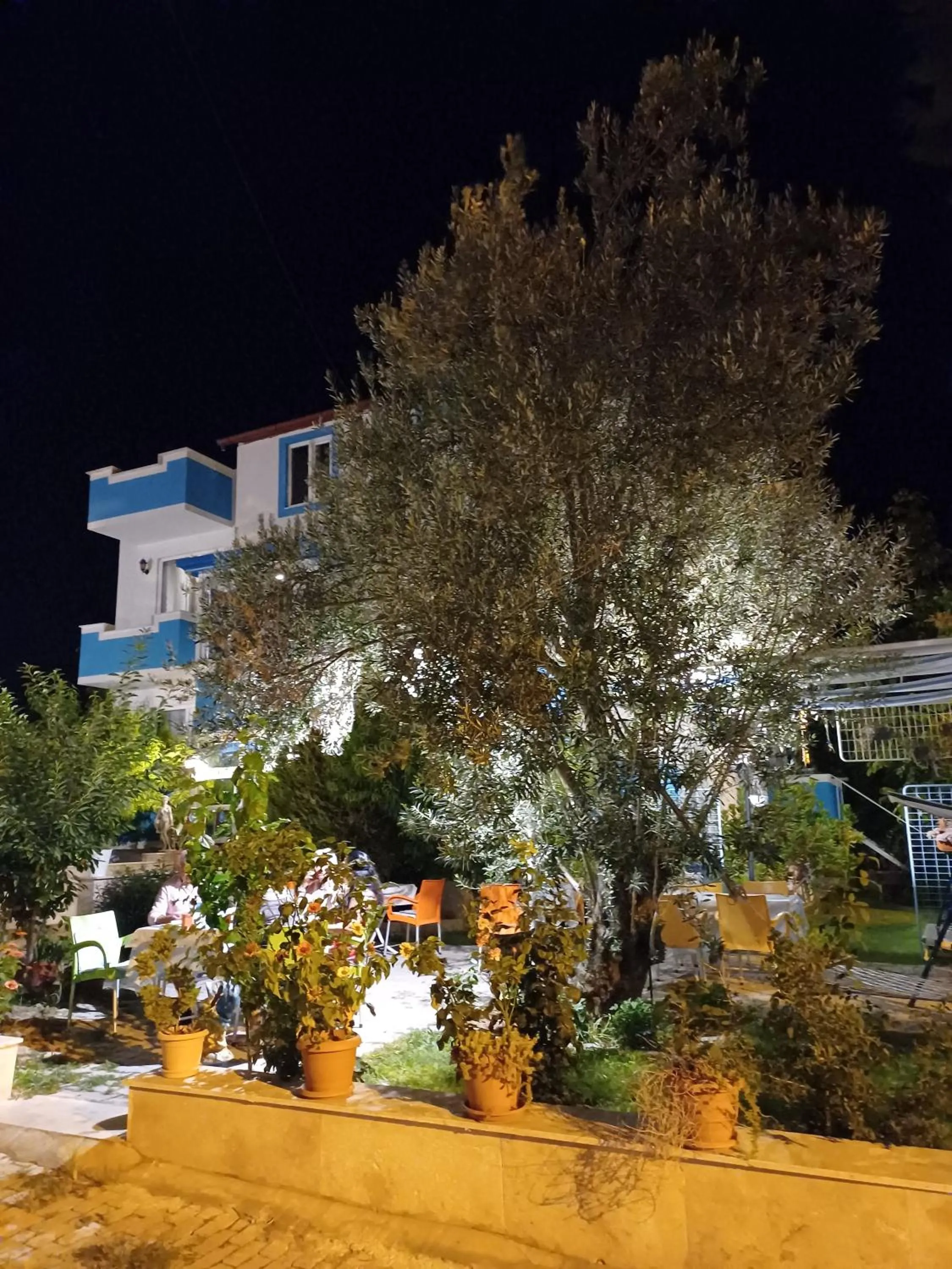 Garden in The Cotton House