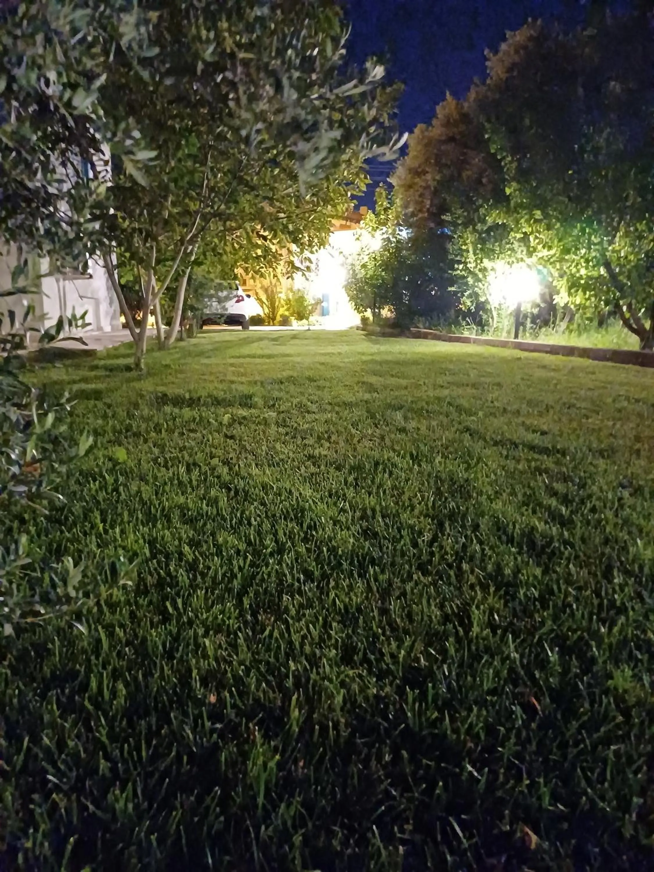Garden in The Cotton House