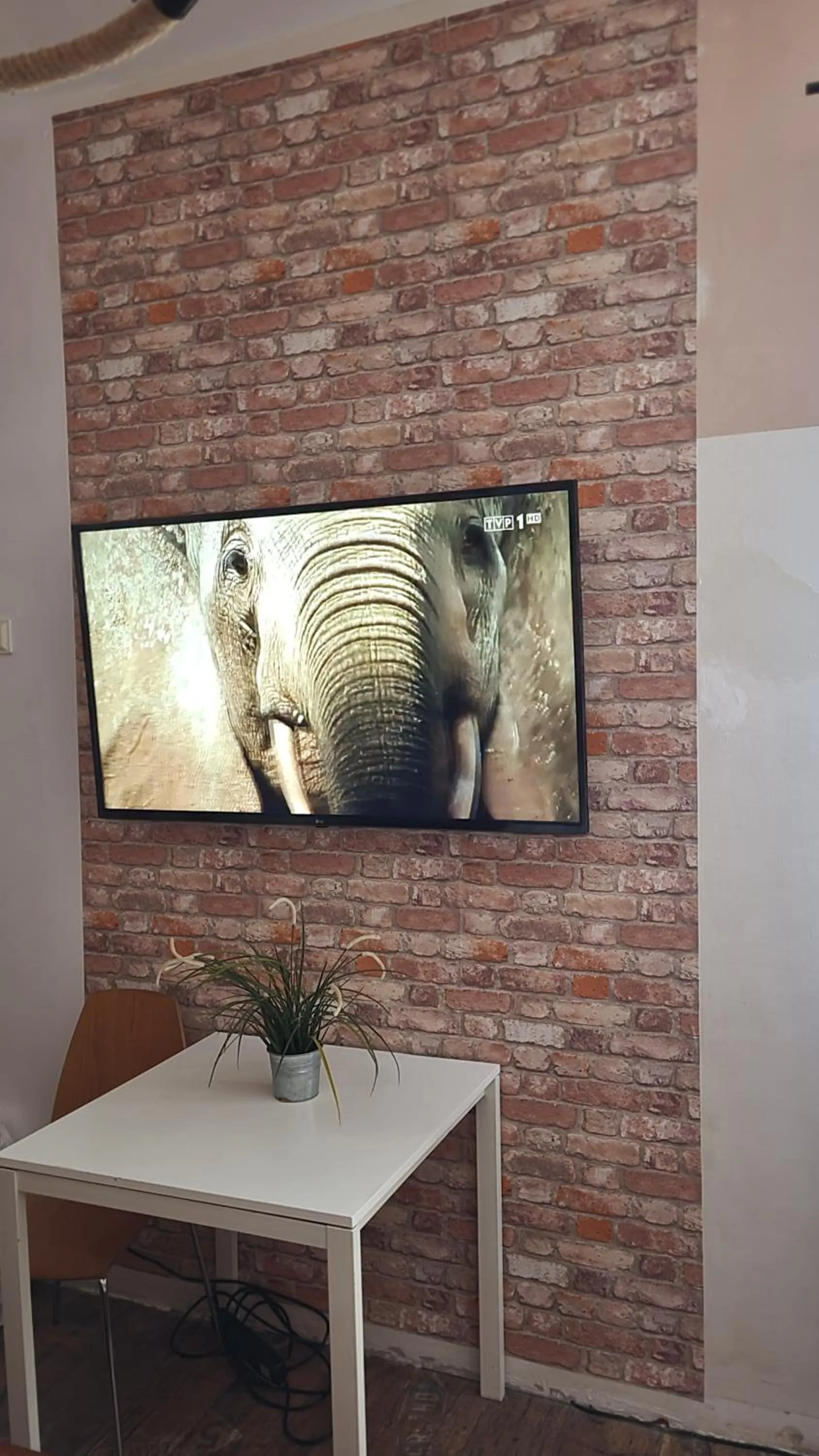 TV and multimedia in Chmielna 5 Rooms & Apartments