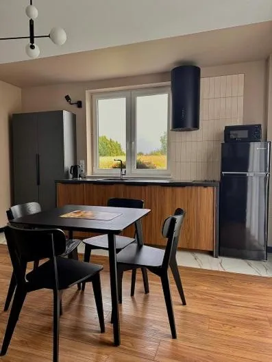 Kitchen or kitchenette in Apartamenty przy Winnicy