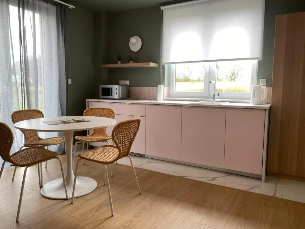Kitchen or kitchenette in Apartamenty przy Winnicy