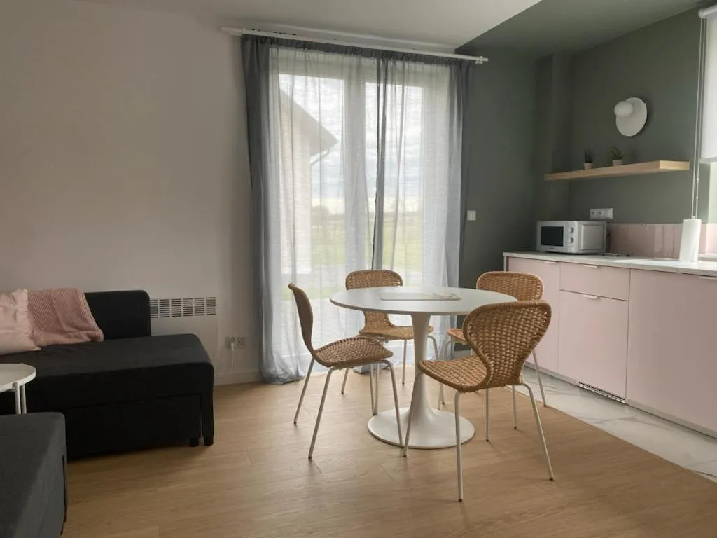 Kitchen or kitchenette in Apartamenty przy Winnicy