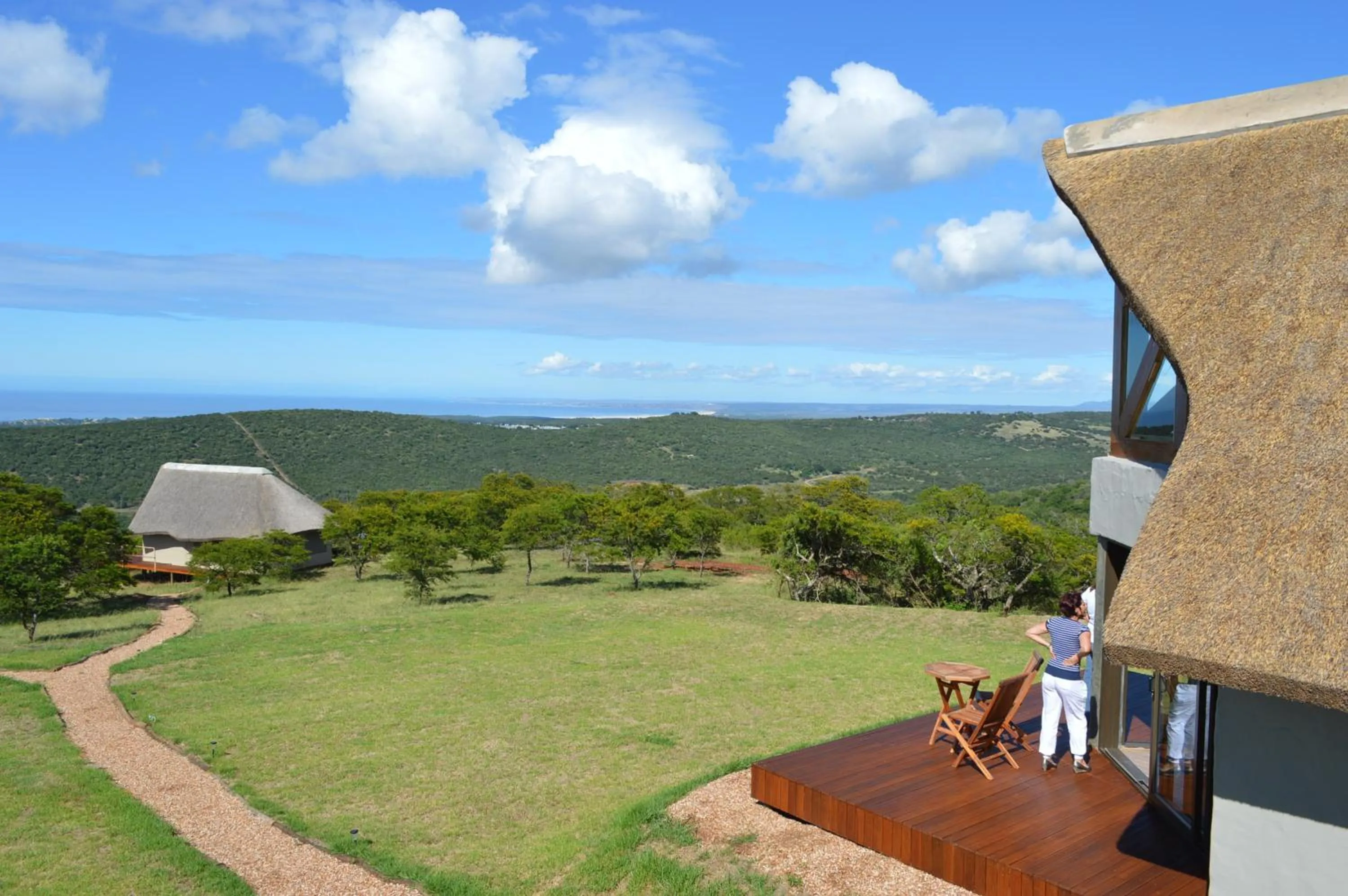 Natural landscape in Jbay Zebra Lodge