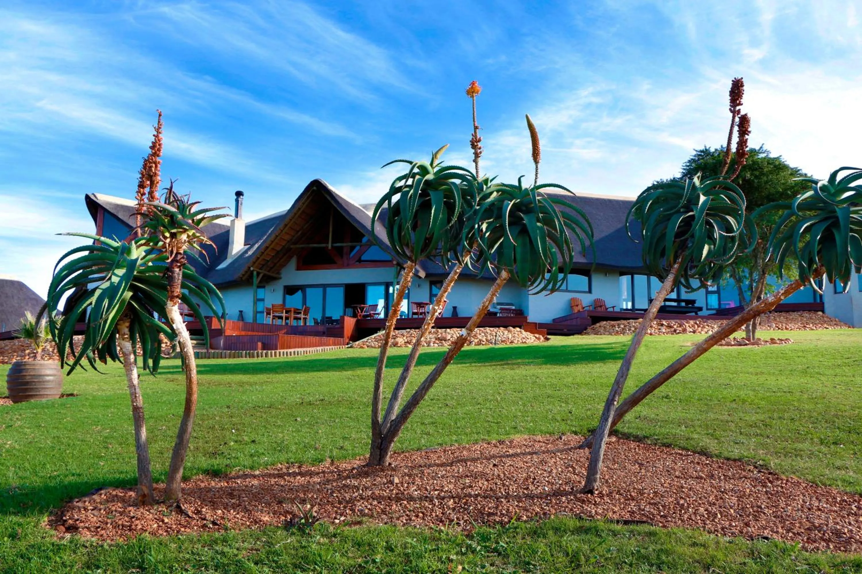 Property building in Jbay Zebra Lodge