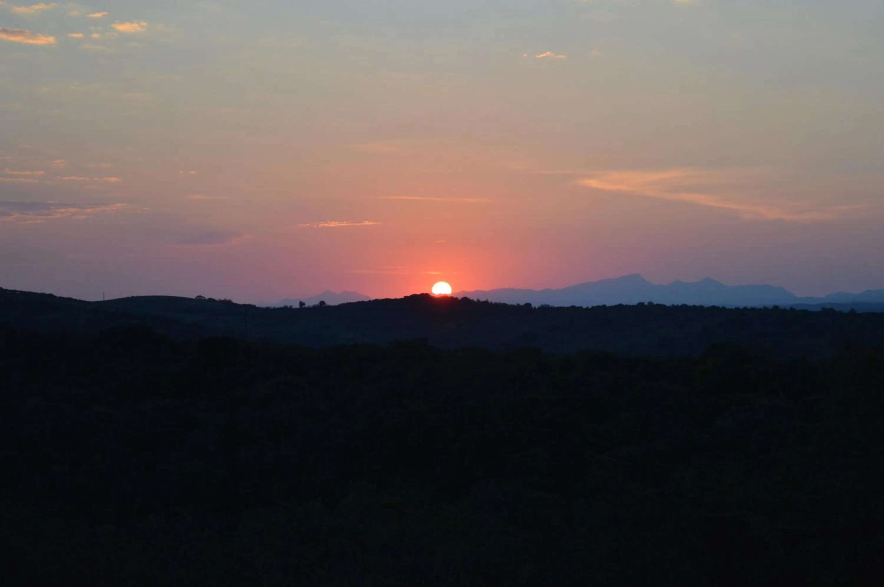 View (from property/room) in Jbay Zebra Lodge