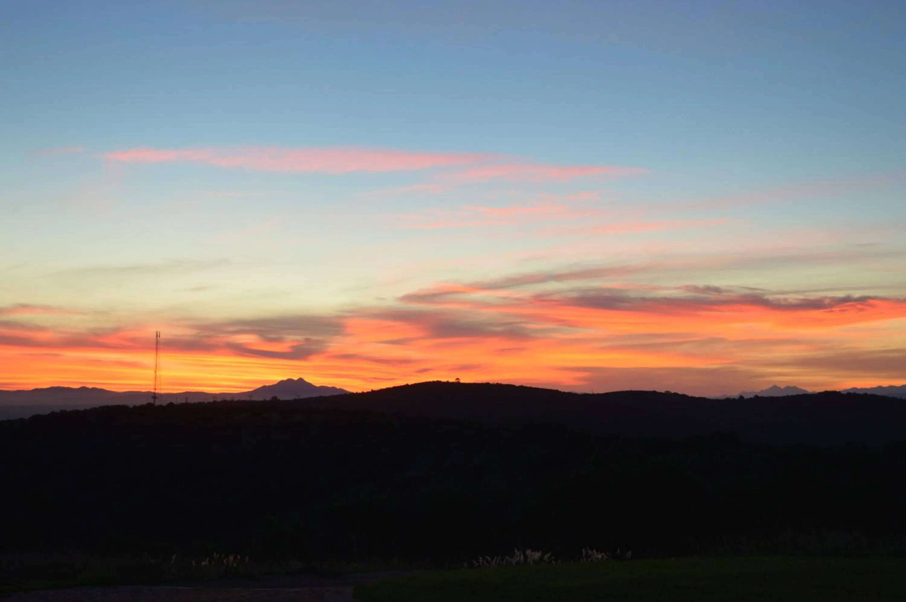 Natural landscape in Jbay Zebra Lodge