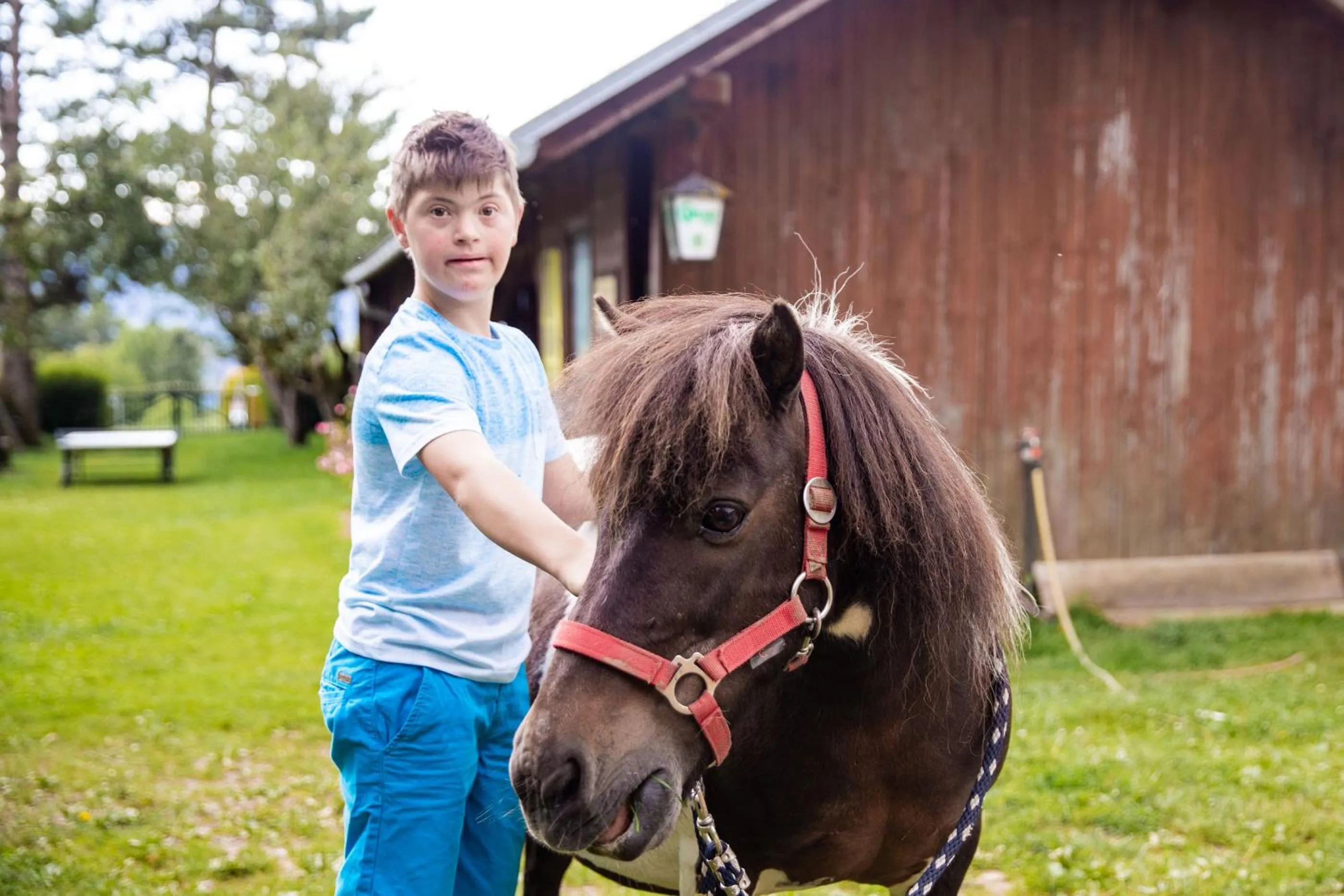 Animals in Gasthof Zum Kramer
