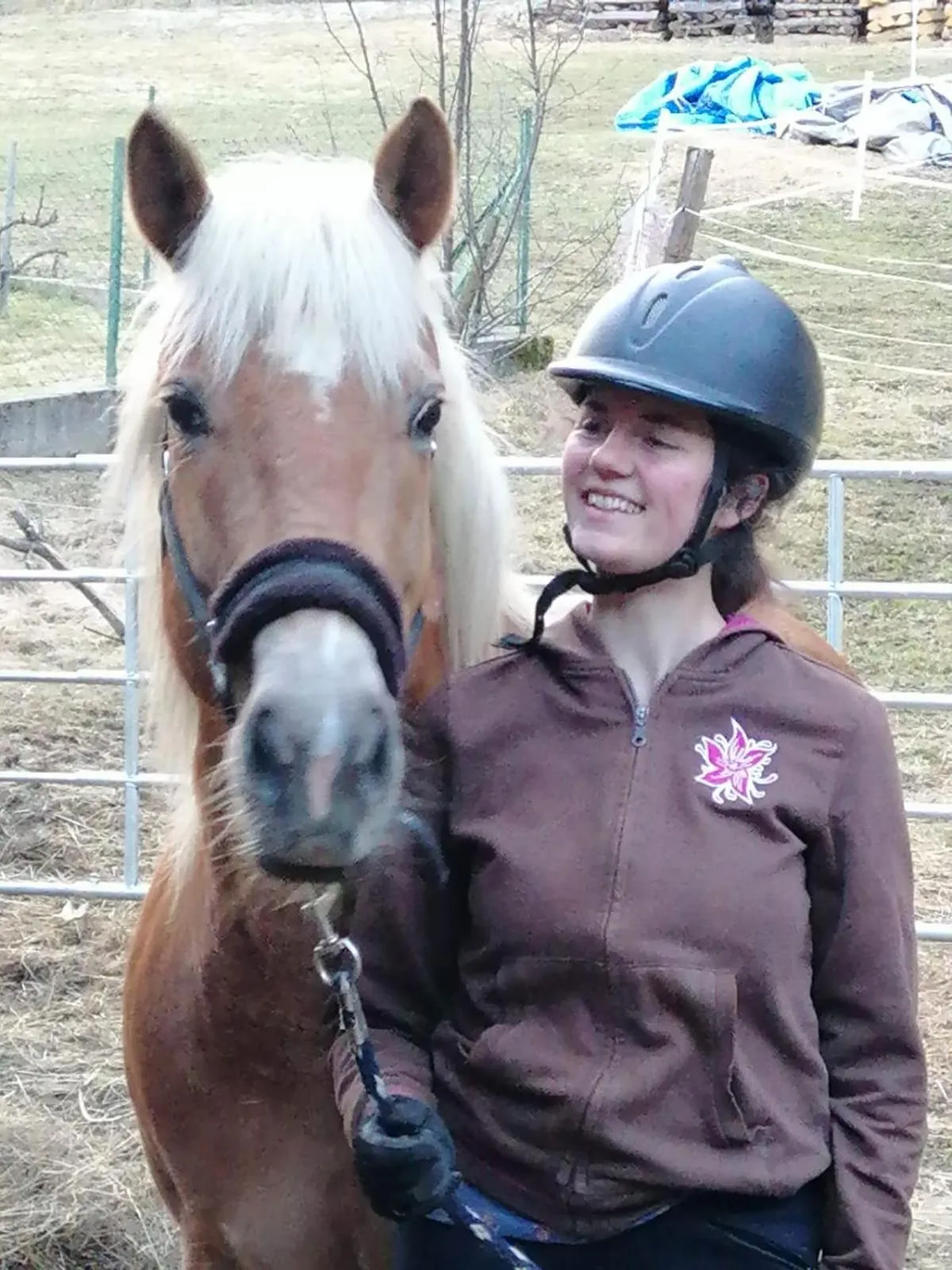 Horse-riding in Gasthof Zum Kramer
