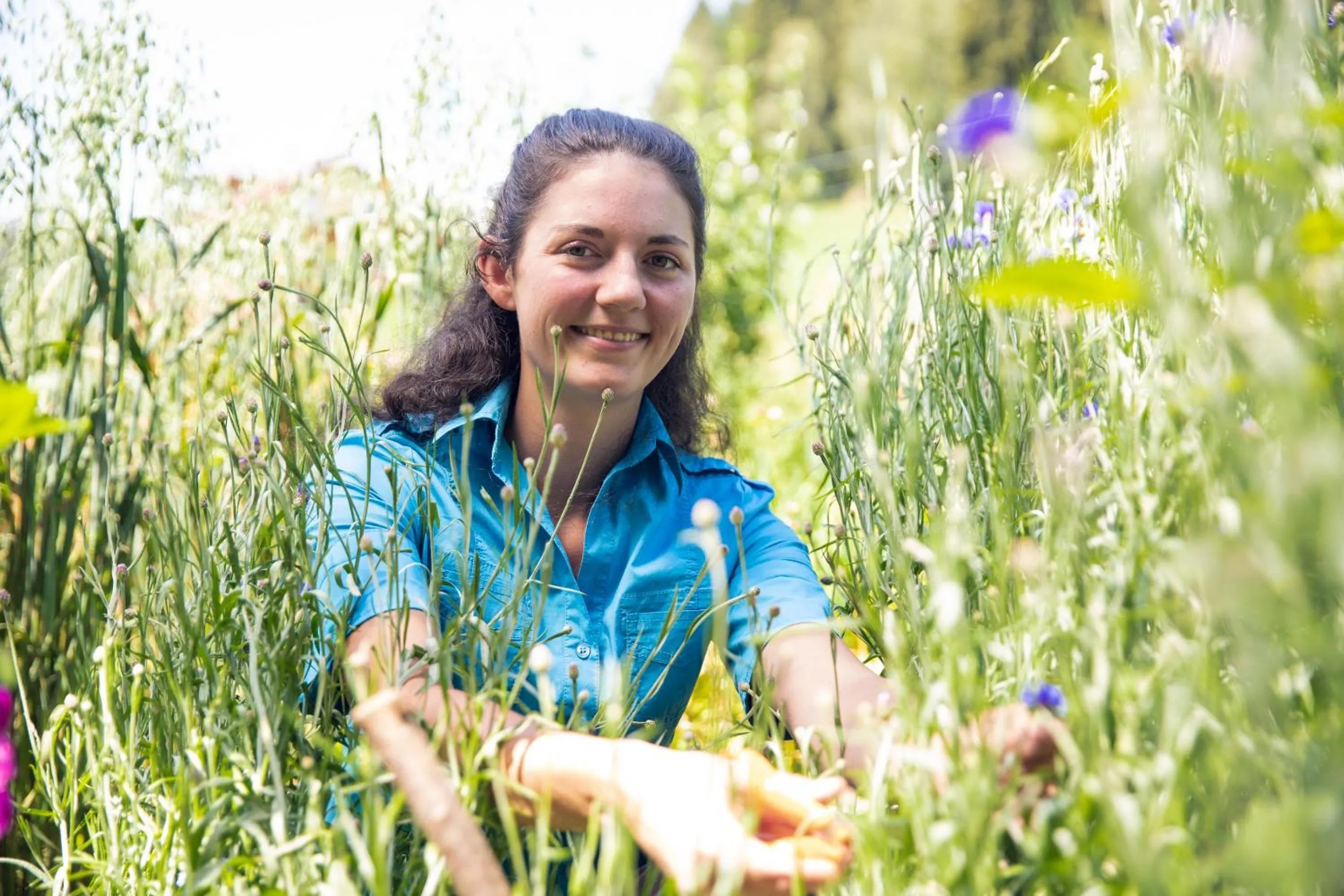 Garden in Gasthof Zum Kramer