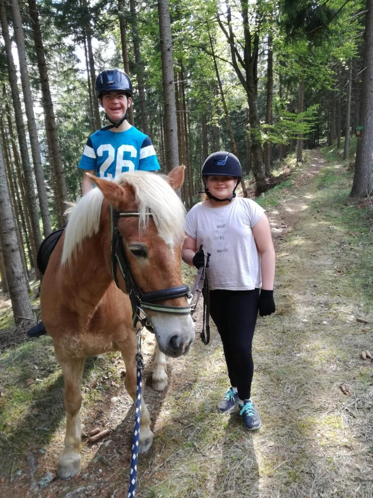 Horse-riding in Gasthof Zum Kramer