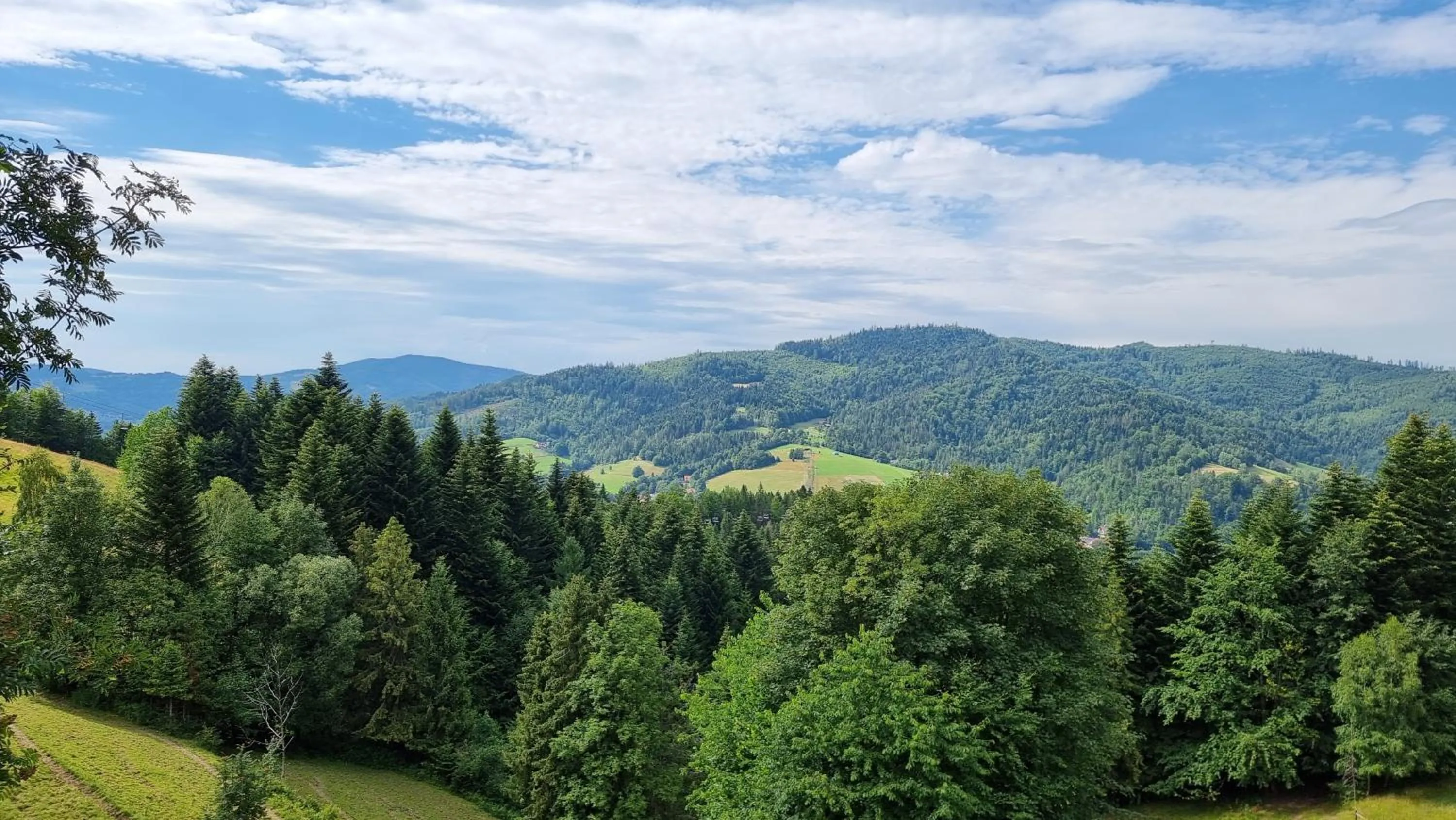 Natural landscape in Rezydencja Barrettski