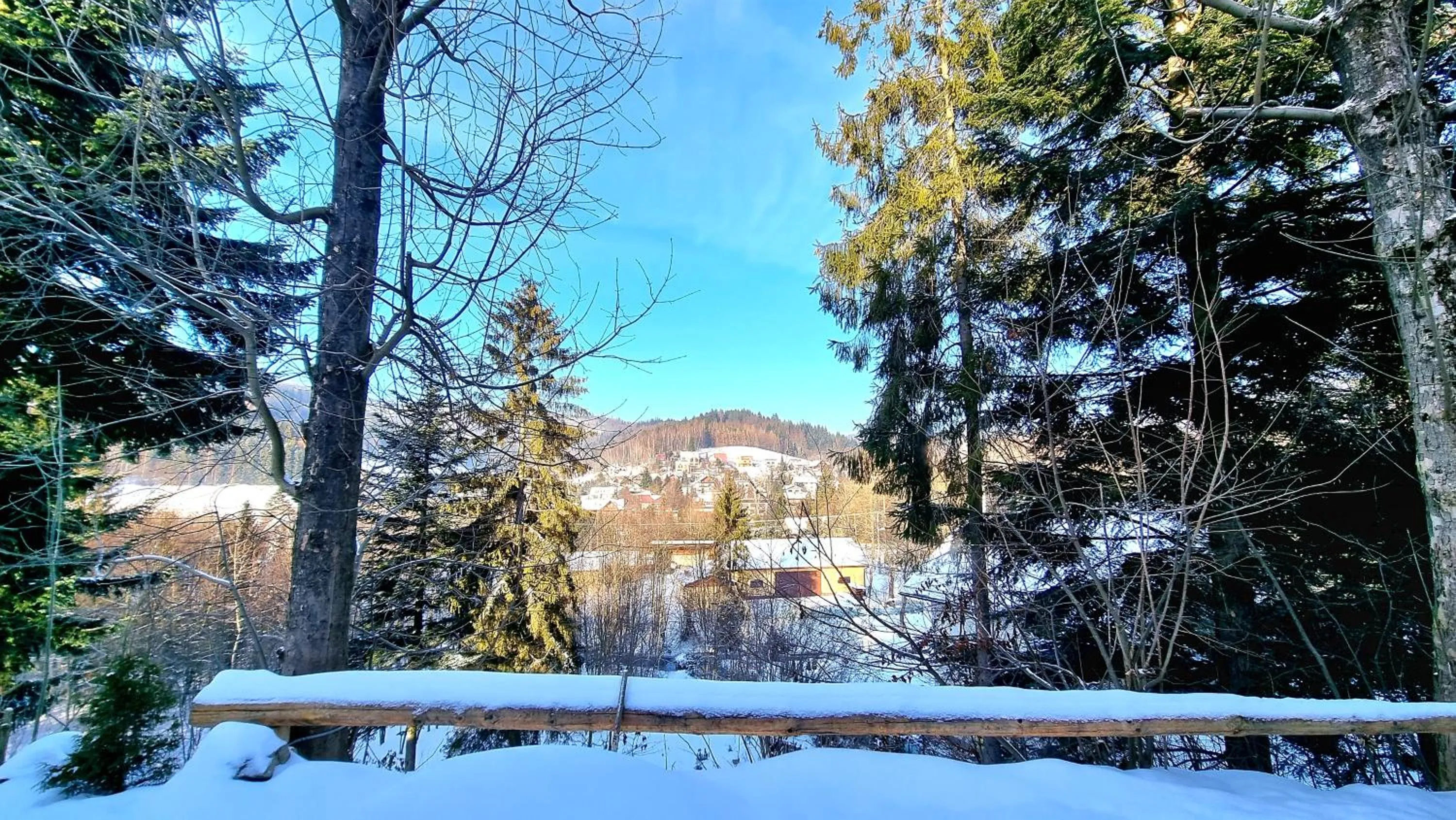 Natural landscape in Rezydencja Barrettski