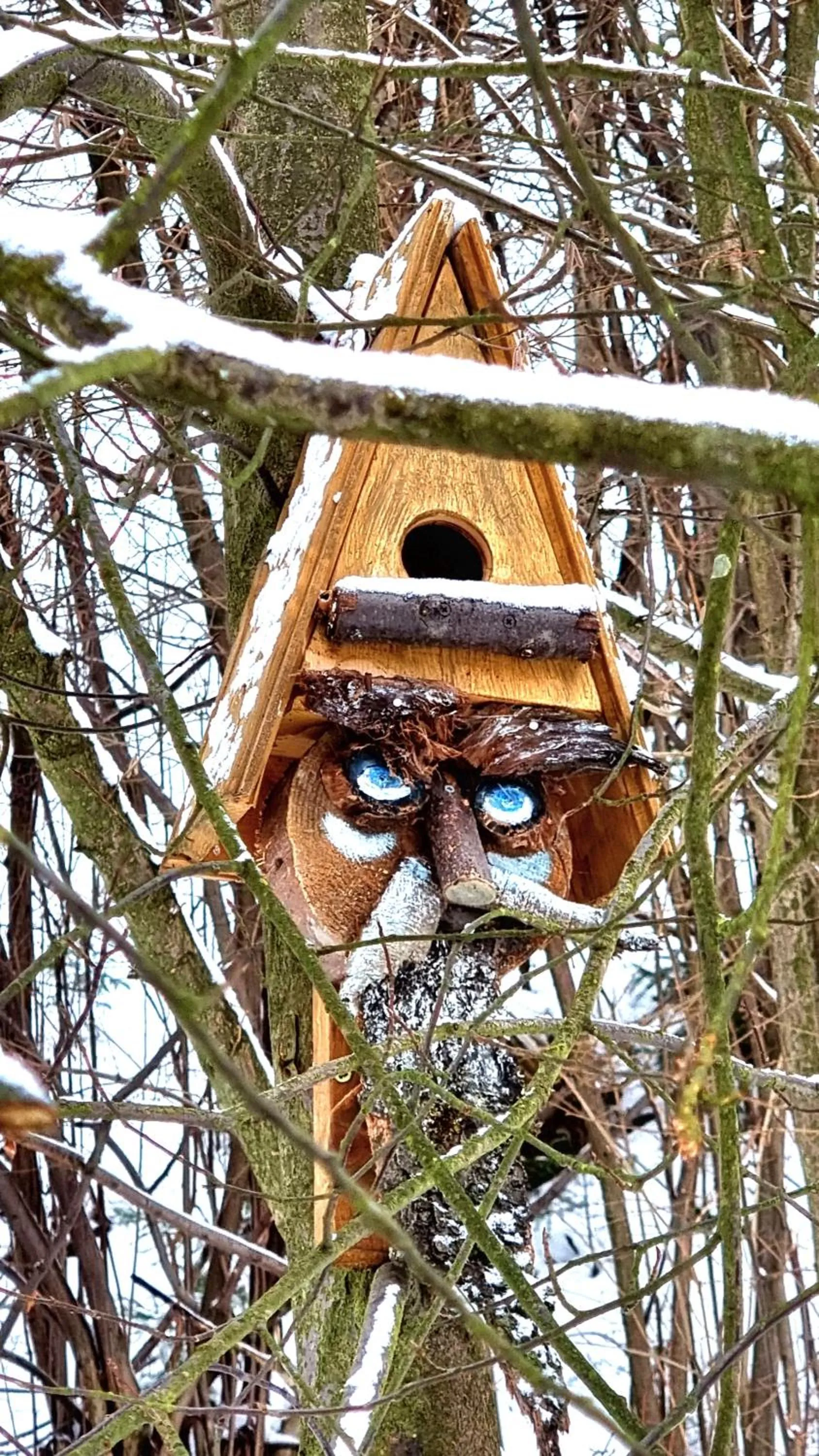 Other in Rezydencja Barrettski