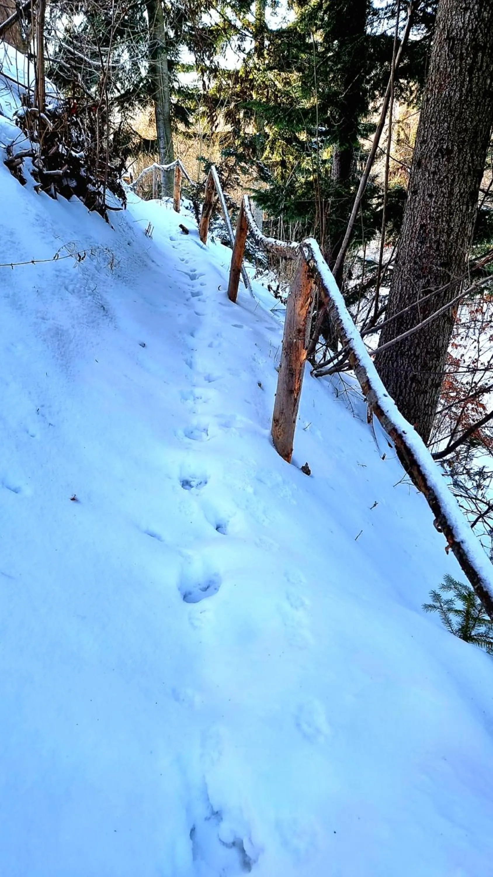 Natural landscape in Rezydencja Barrettski