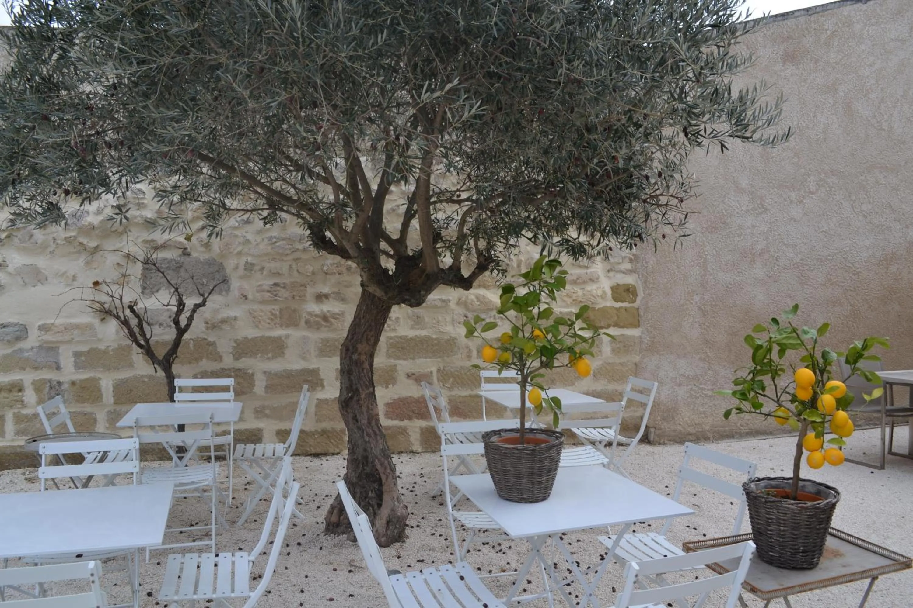 Patio in Mas À l'Improviste