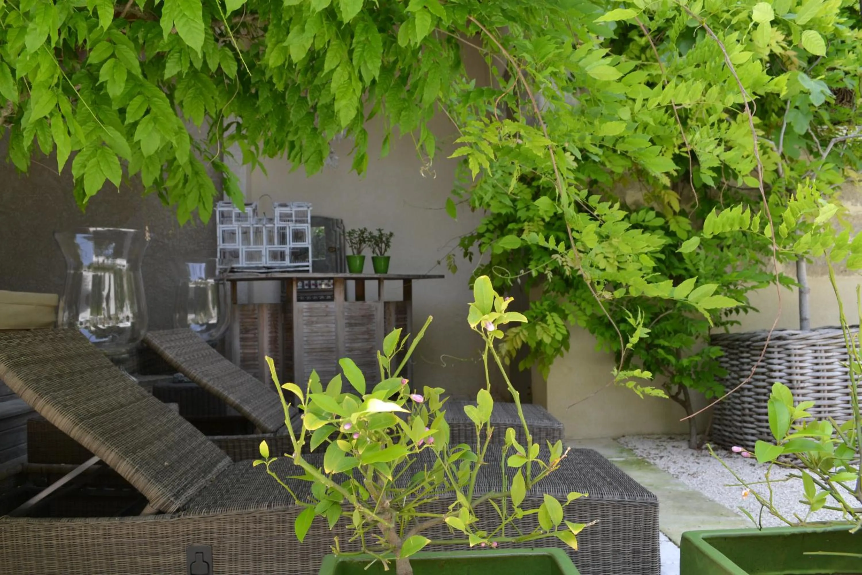 Other in Mas À l'Improviste