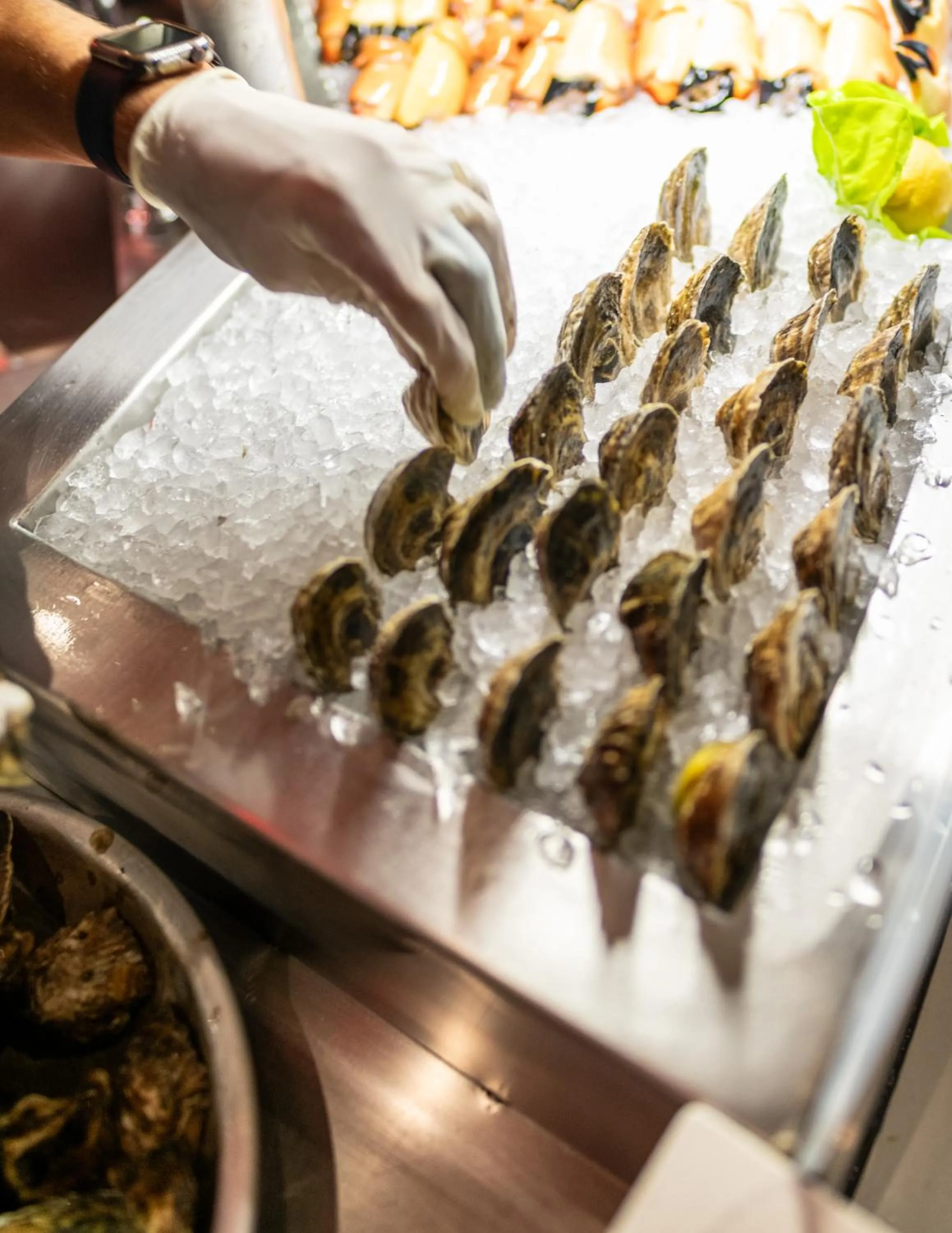 Restaurant/places to eat in Bellasera Resort