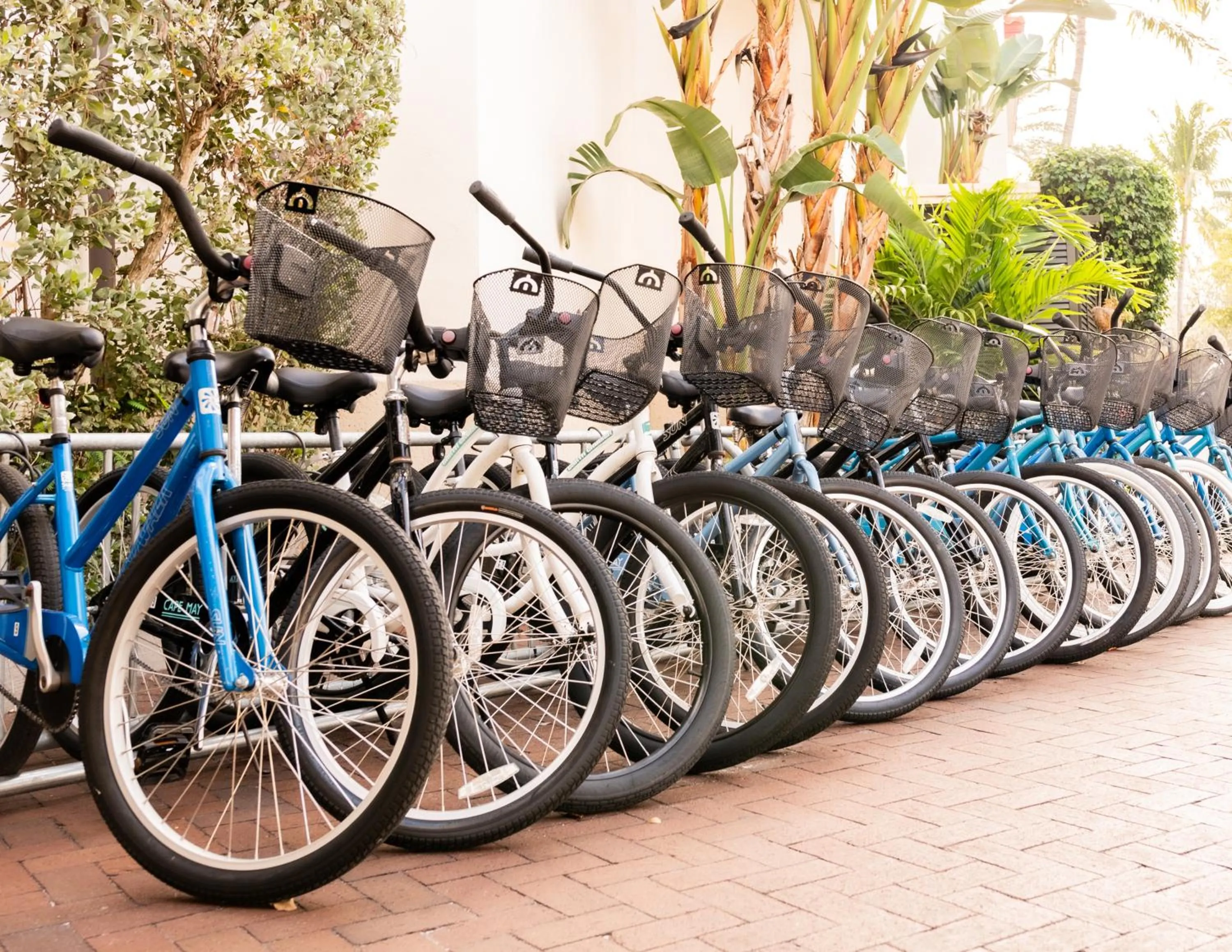 Activities in Bellasera Resort